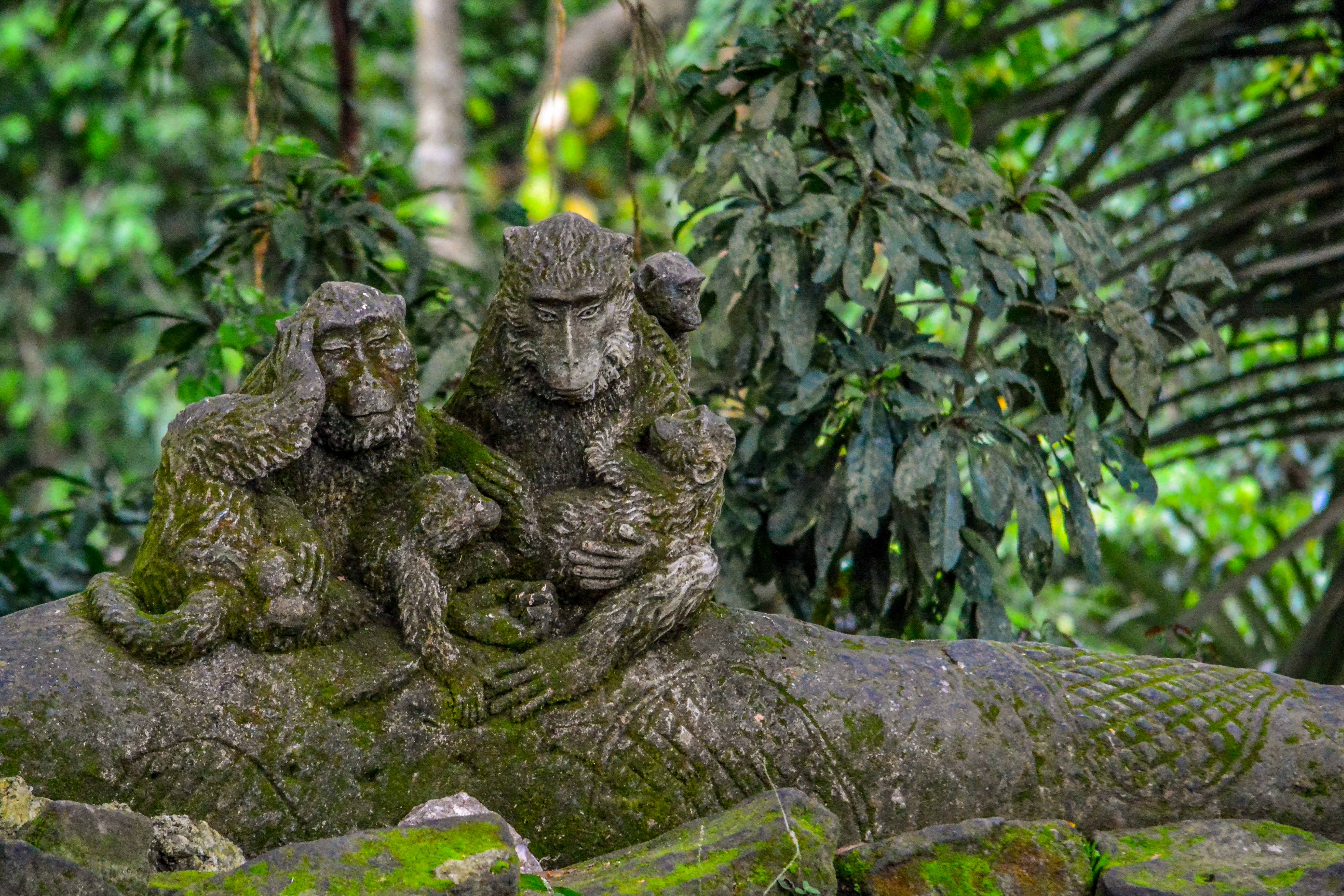 Ubud Que faire à ubud monkey sacred forest forêt sacrée des singes indonésie bali blogvoyage blog voyage