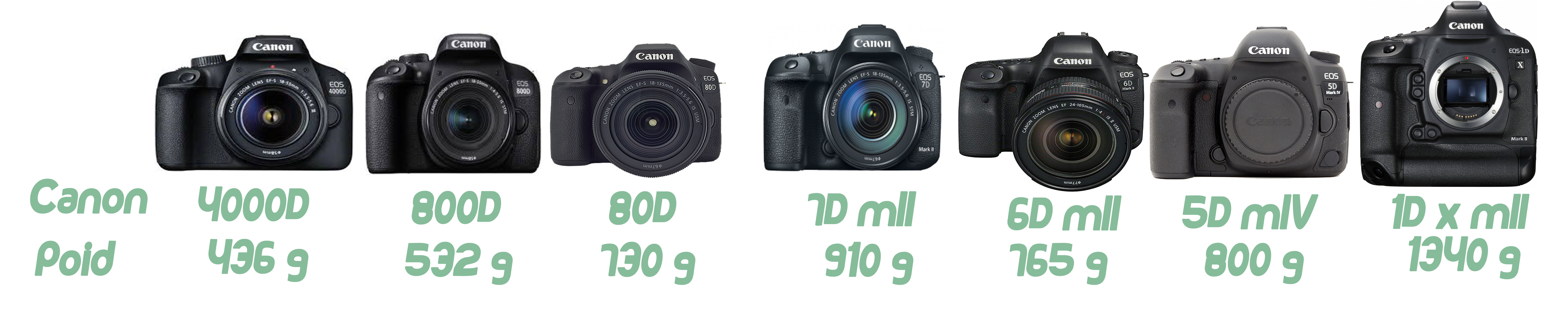 Choisir son premier reflex gamme canon icietlabas blogvoyage