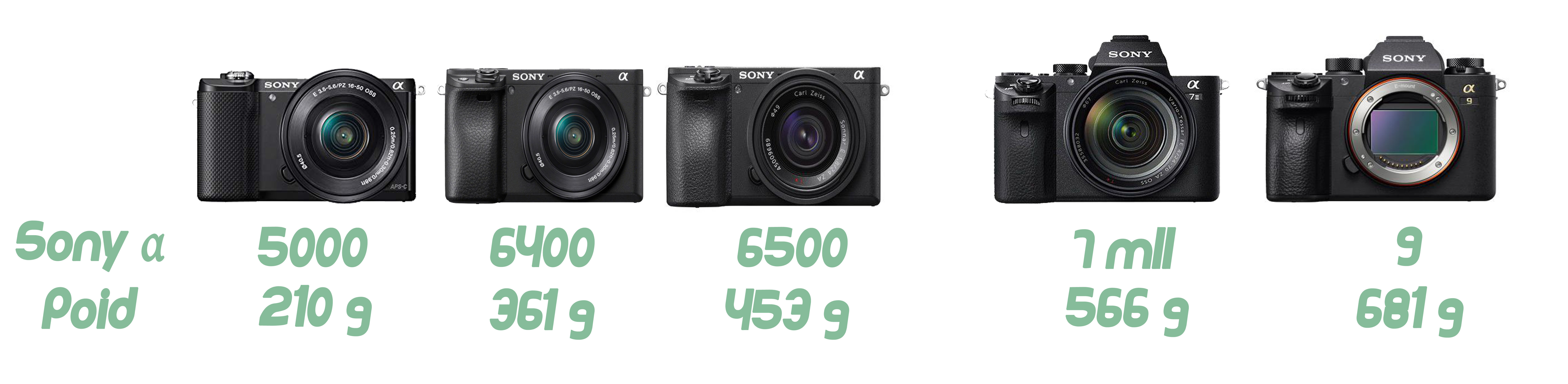 Choisir son premier reflex gamme sony icietlabas blogvoyage