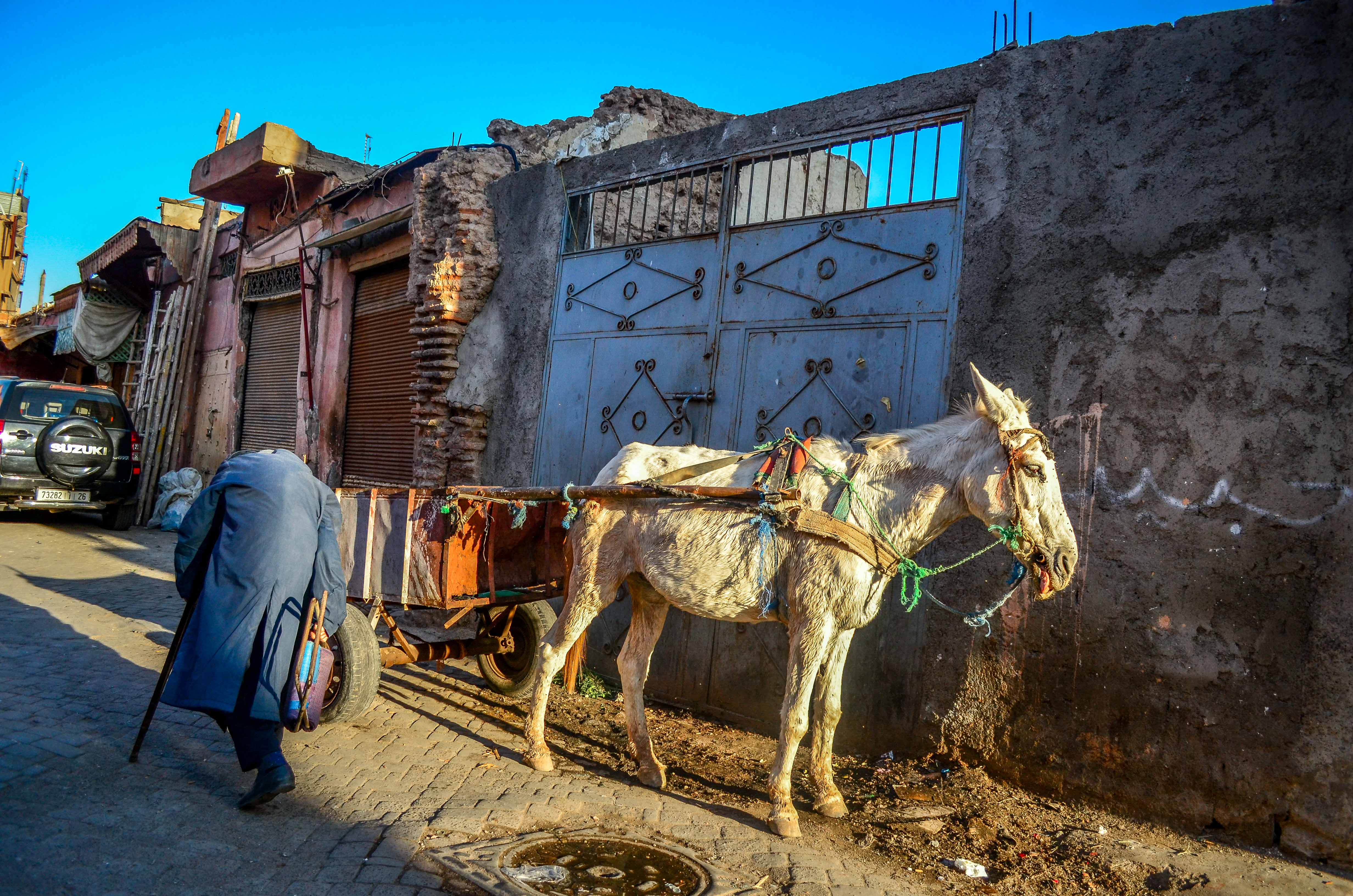 Le tour des remparts à Calèche Maroc Blog voyage