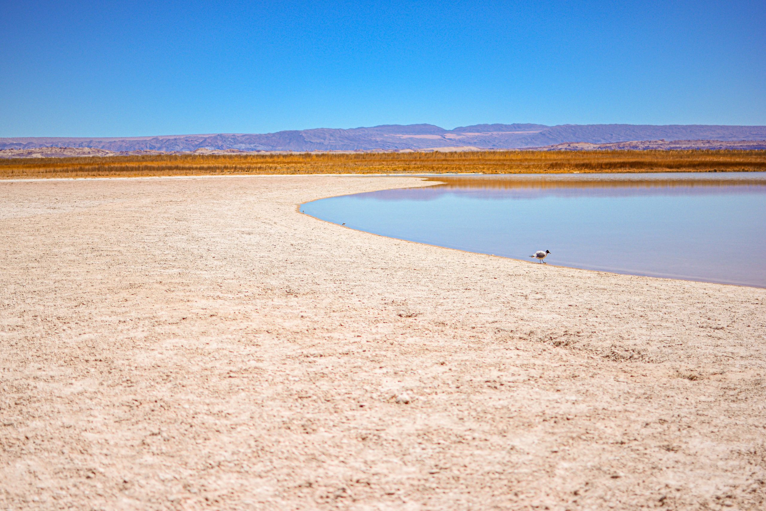 Que faire à San Pedro de Atacama Blog Voyage Chili Chile