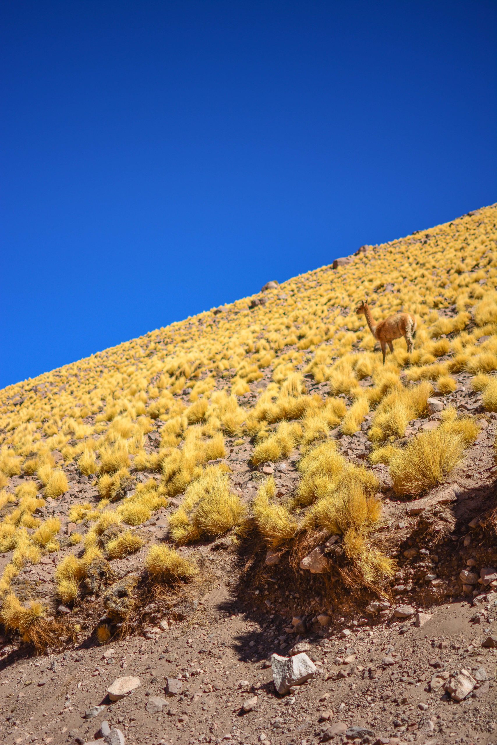 que faire dans le nord du chili blog voyage