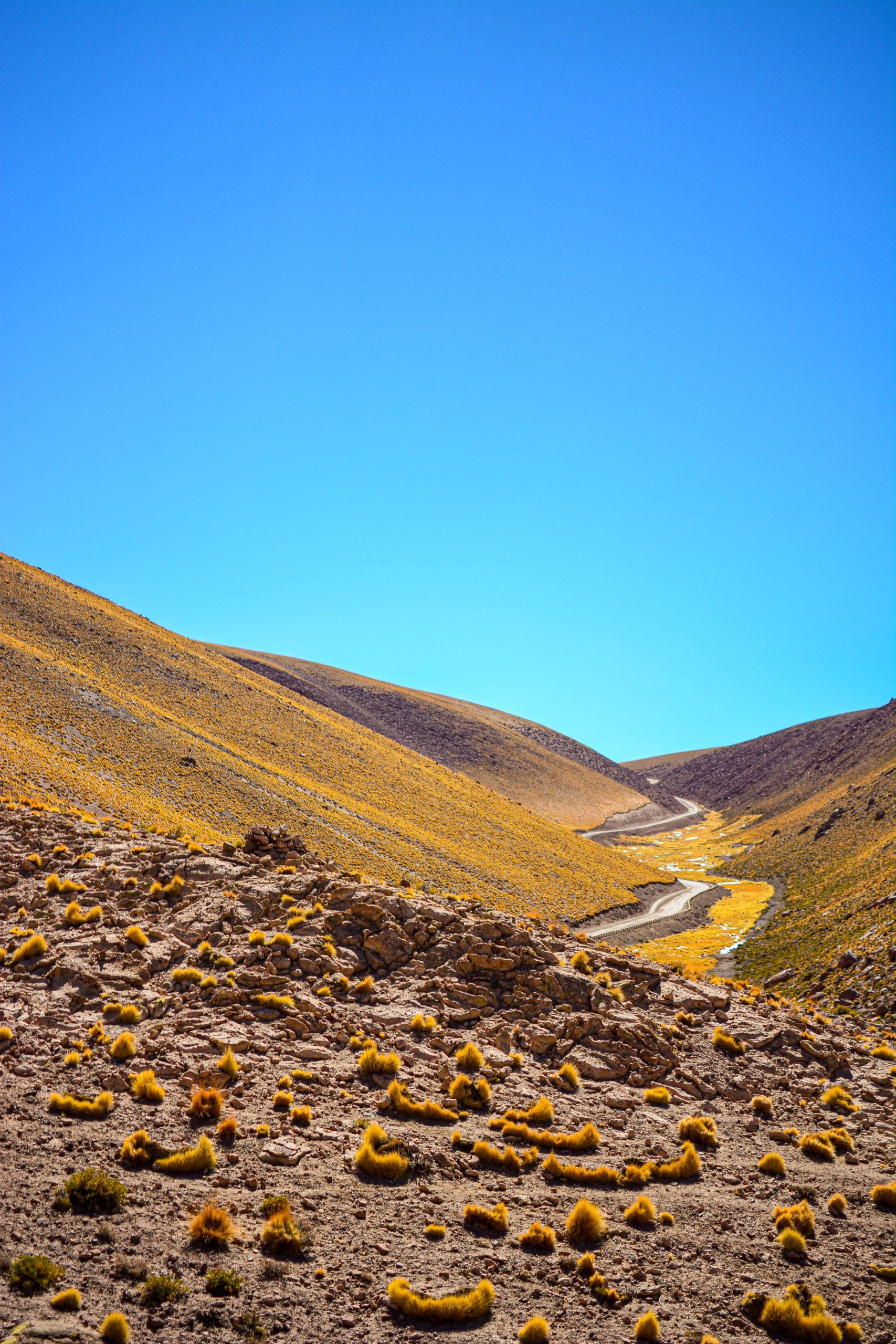 que faire dans le nord du chili blog voyage