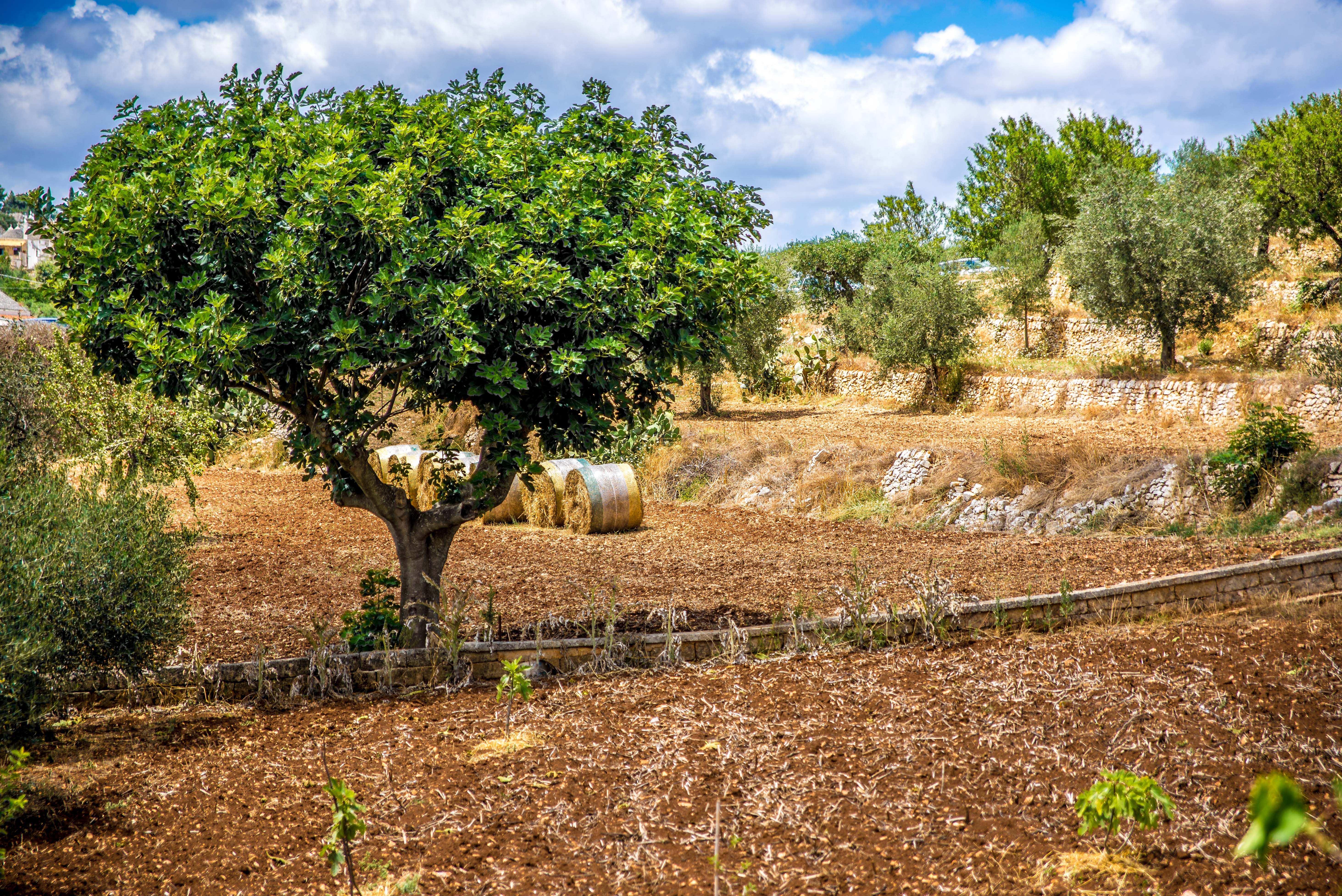 Notre logement dans les pouilles, blog voyage