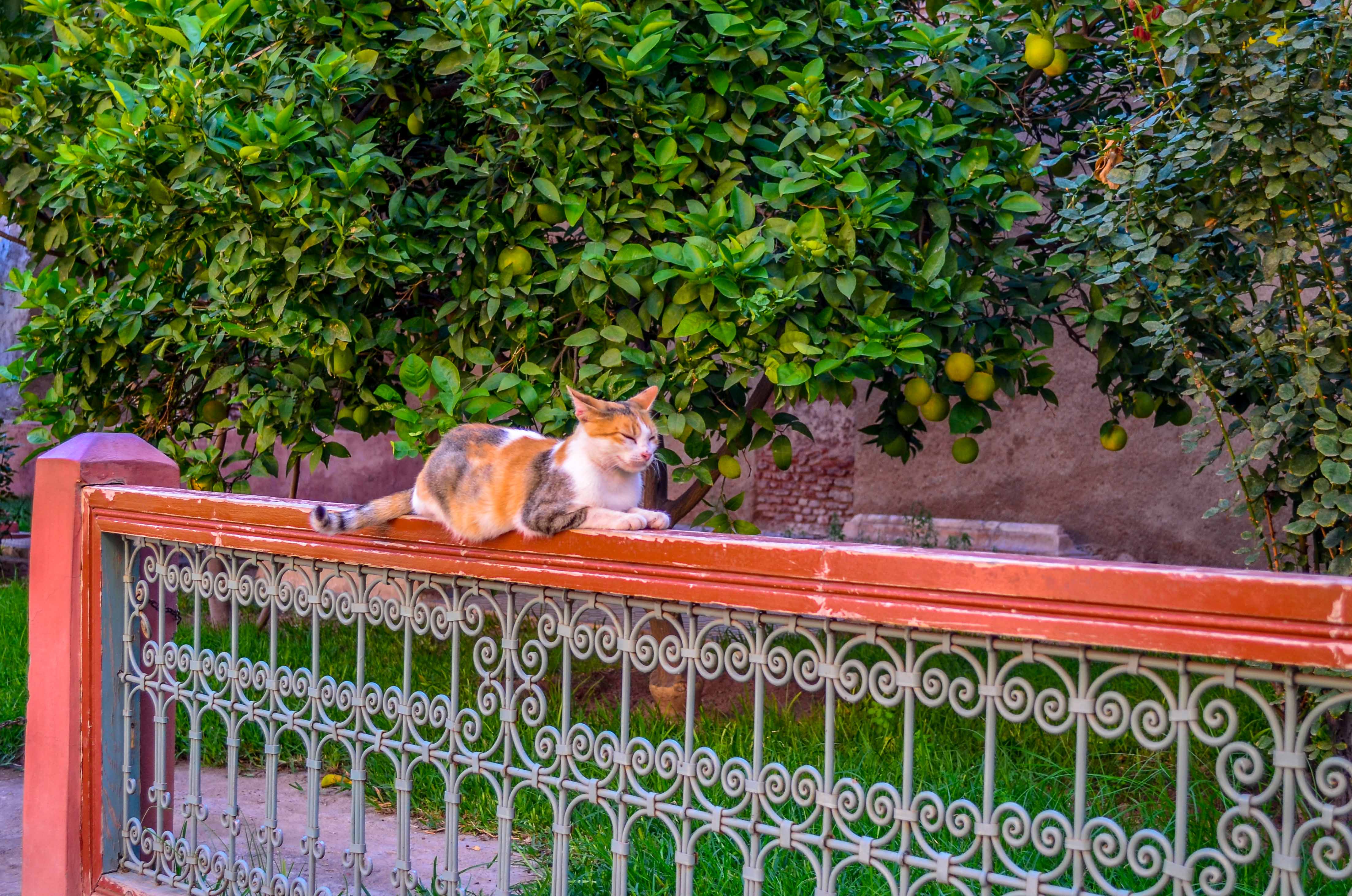 Voyage une semaine au Maroc Blog Voyage