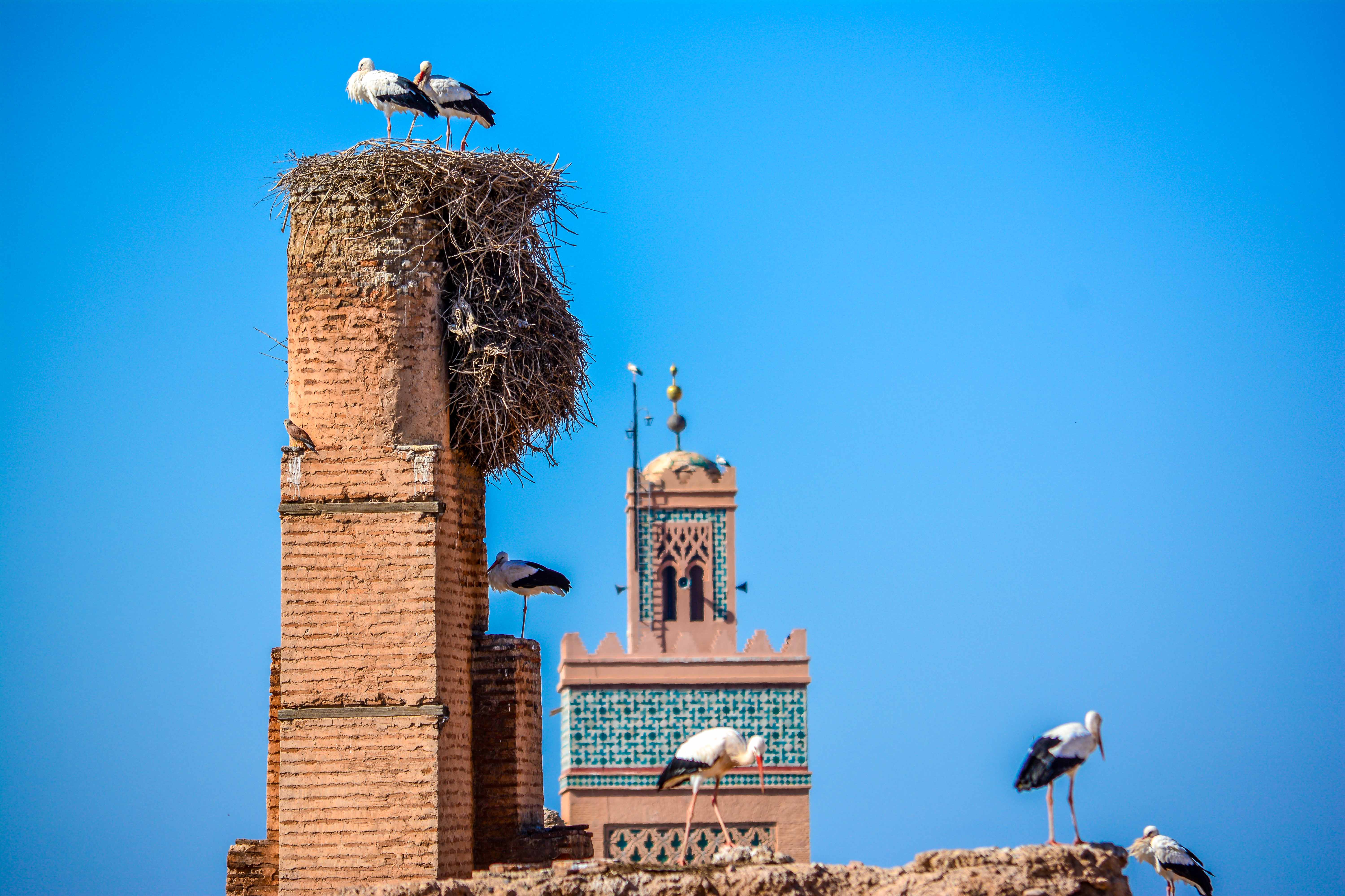 Voyage une semaine au Maroc Blog Voyage