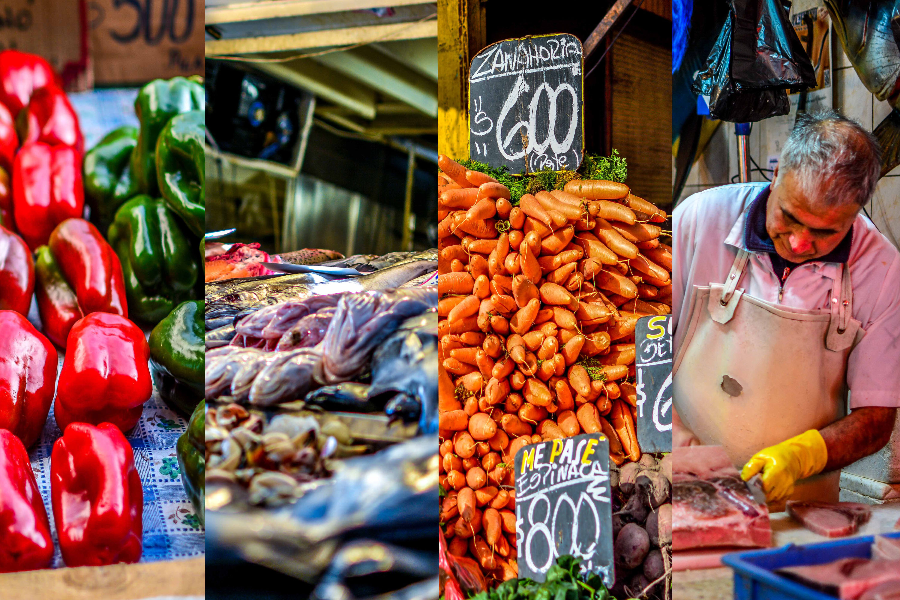 Chili Chile Santiago marchés Mercado Central vegacentral blog voyage blogvoyage icietlabas
