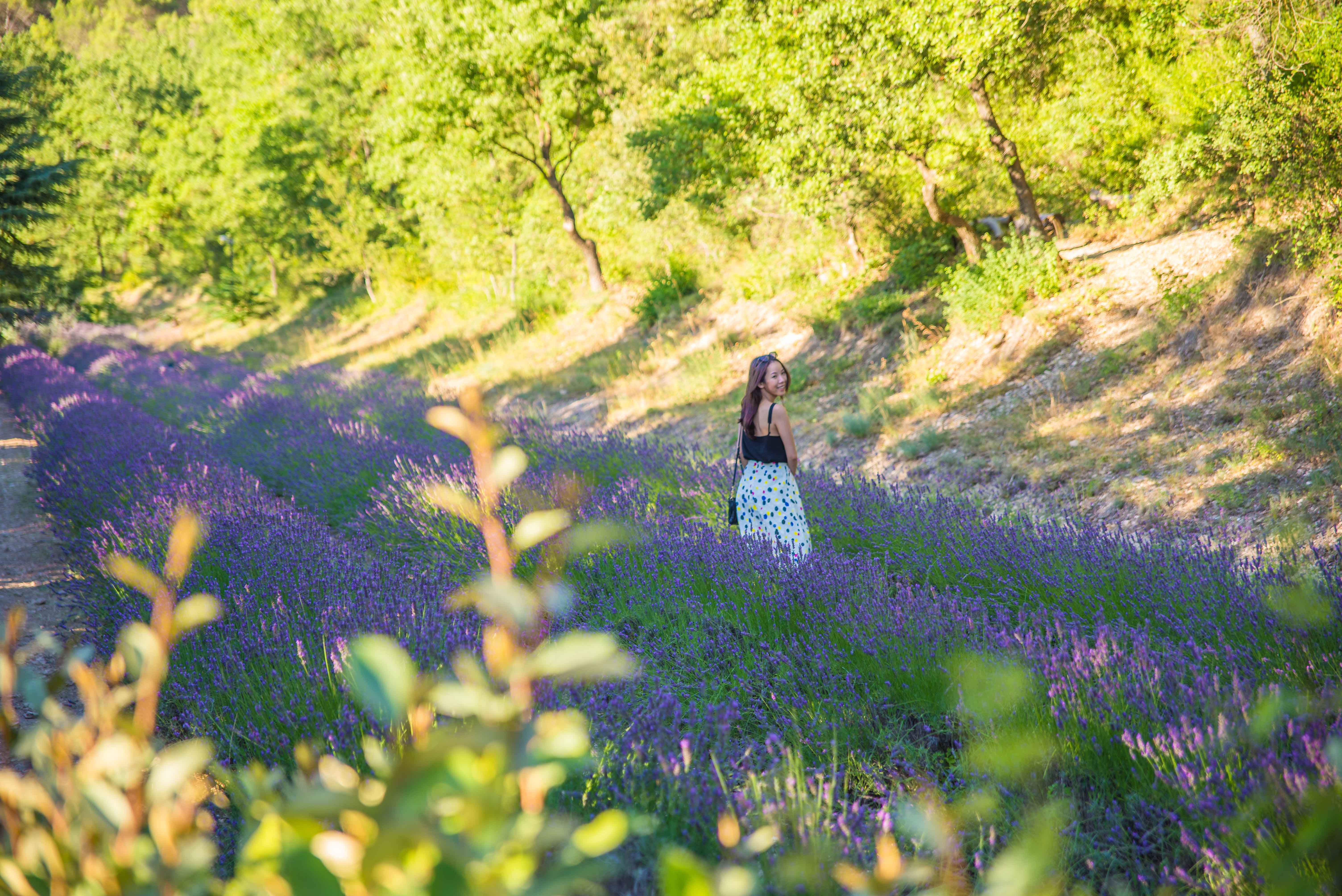luberon escapade icietlabas provence alpes cote dazur vaucluse blog voyage blogvoyage france