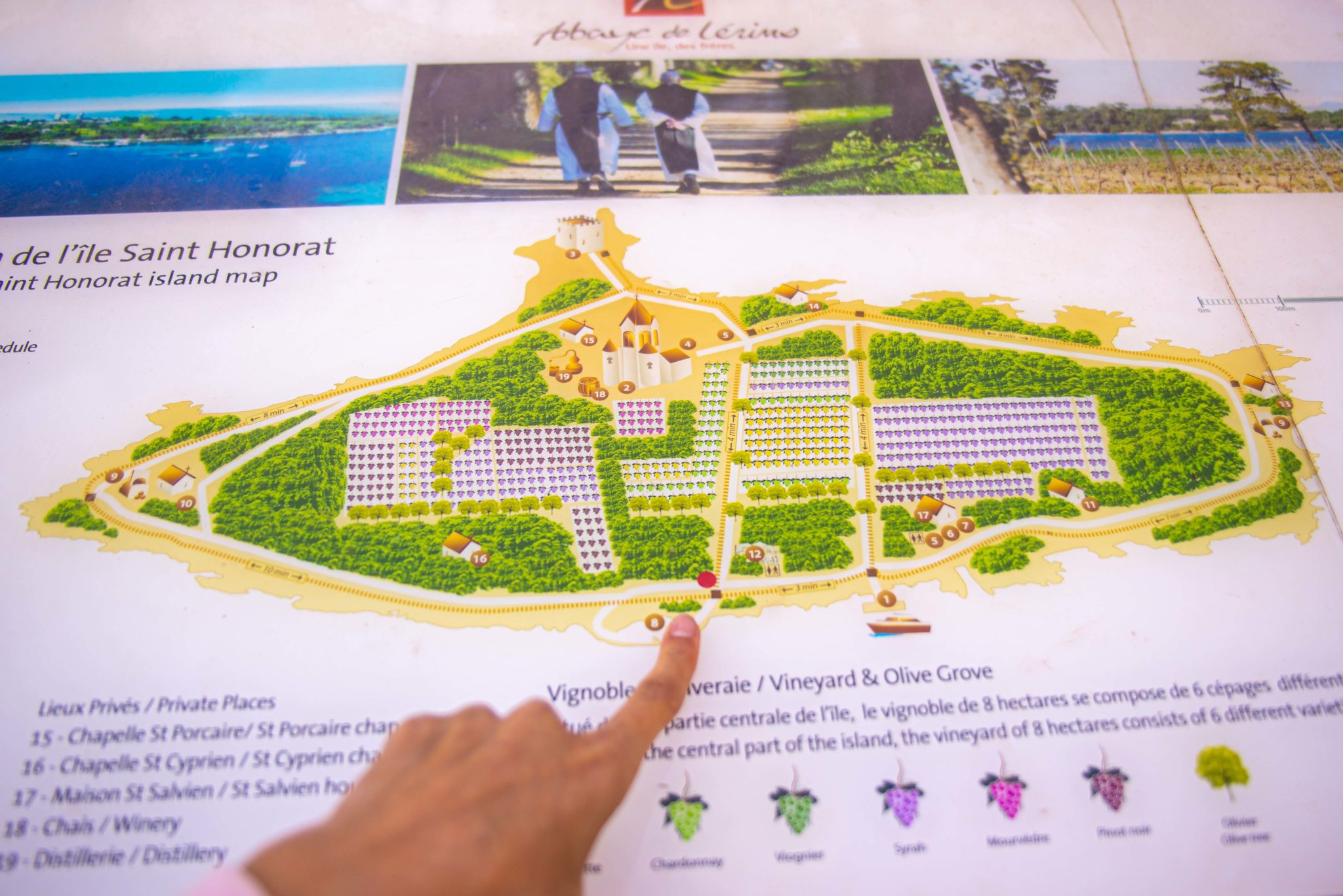 L'île SaintHonorat, le petit paradis de la Côte d'Azur Blog de