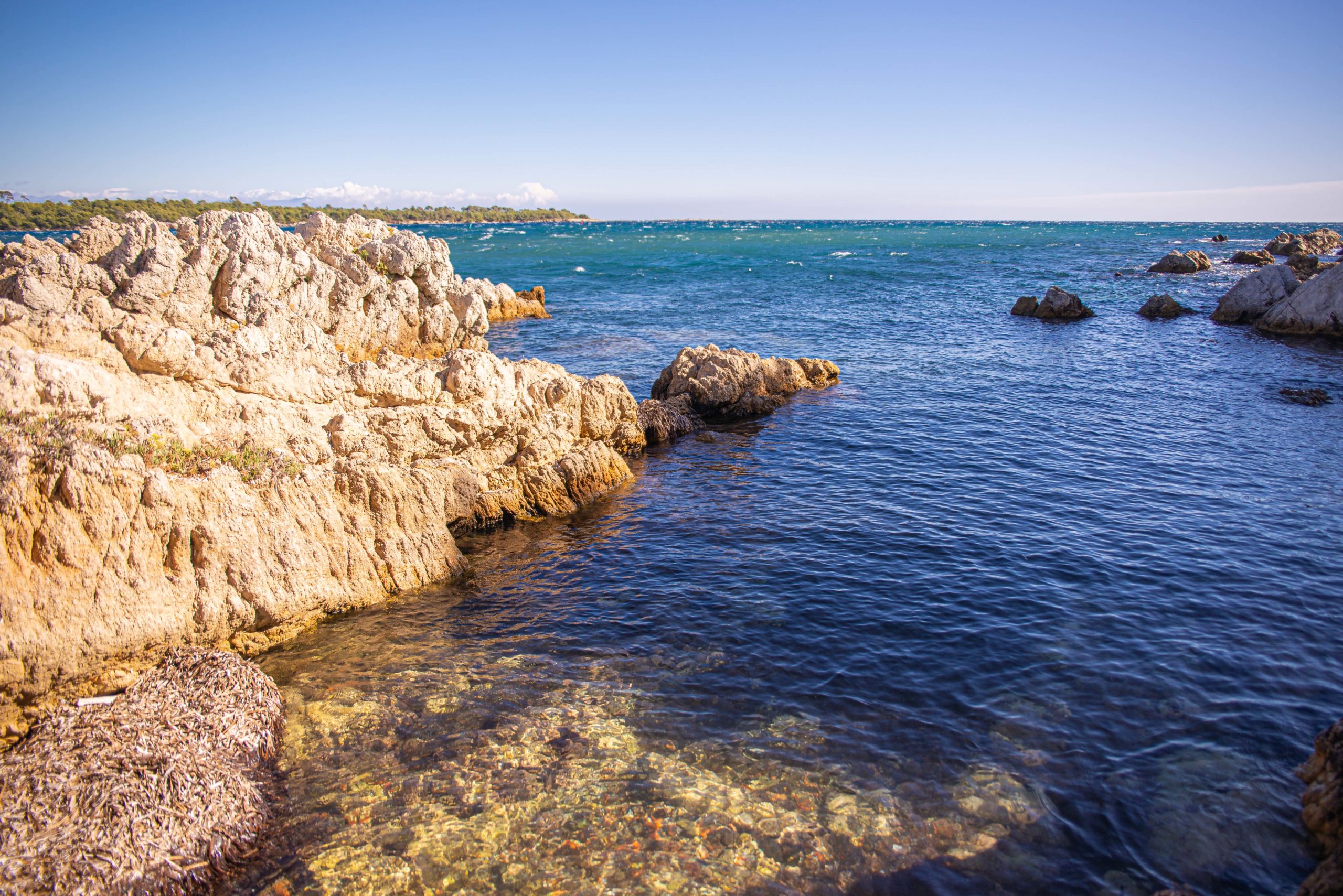 Cannes Alpes-Maritimes Provence Alpes Côte d'Azur Paca blog voyage