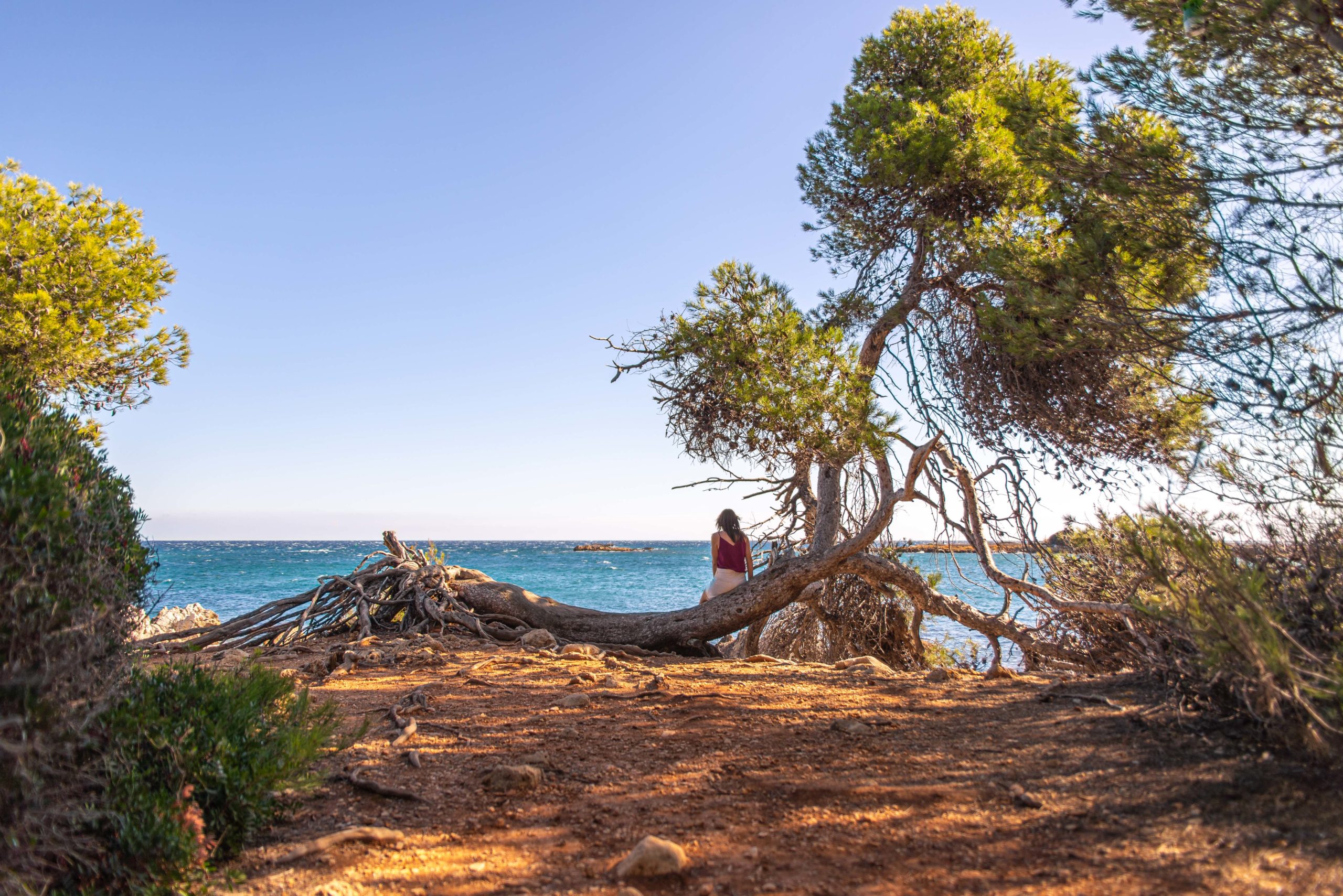 île Saint Honorat Cannes Alpes-Maritimes Provence Alpes Côte d'Azur Paca blog voyage