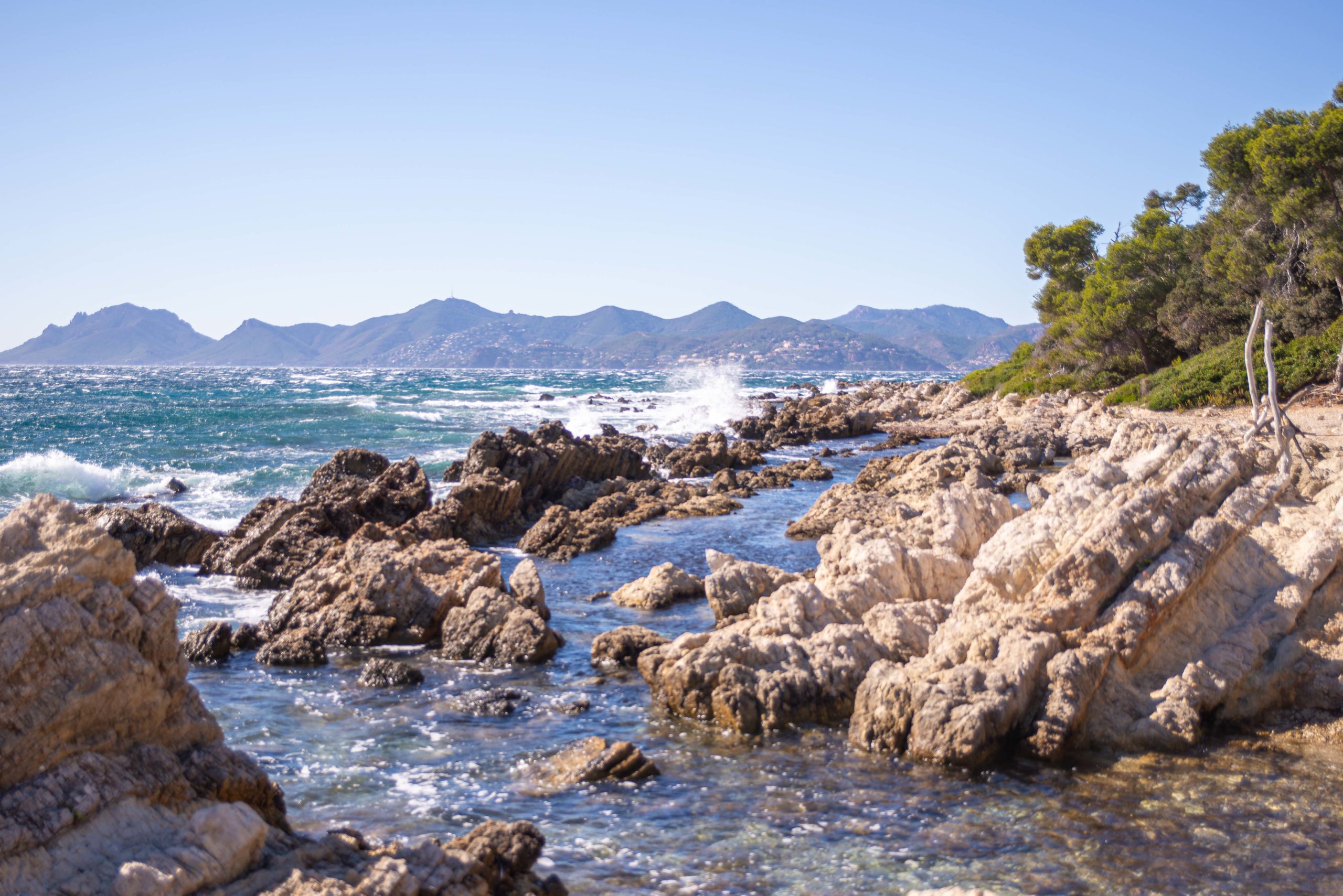 Cannes Alpes-Maritimes Provence Alpes Côte d'Azur Paca blog voyage
