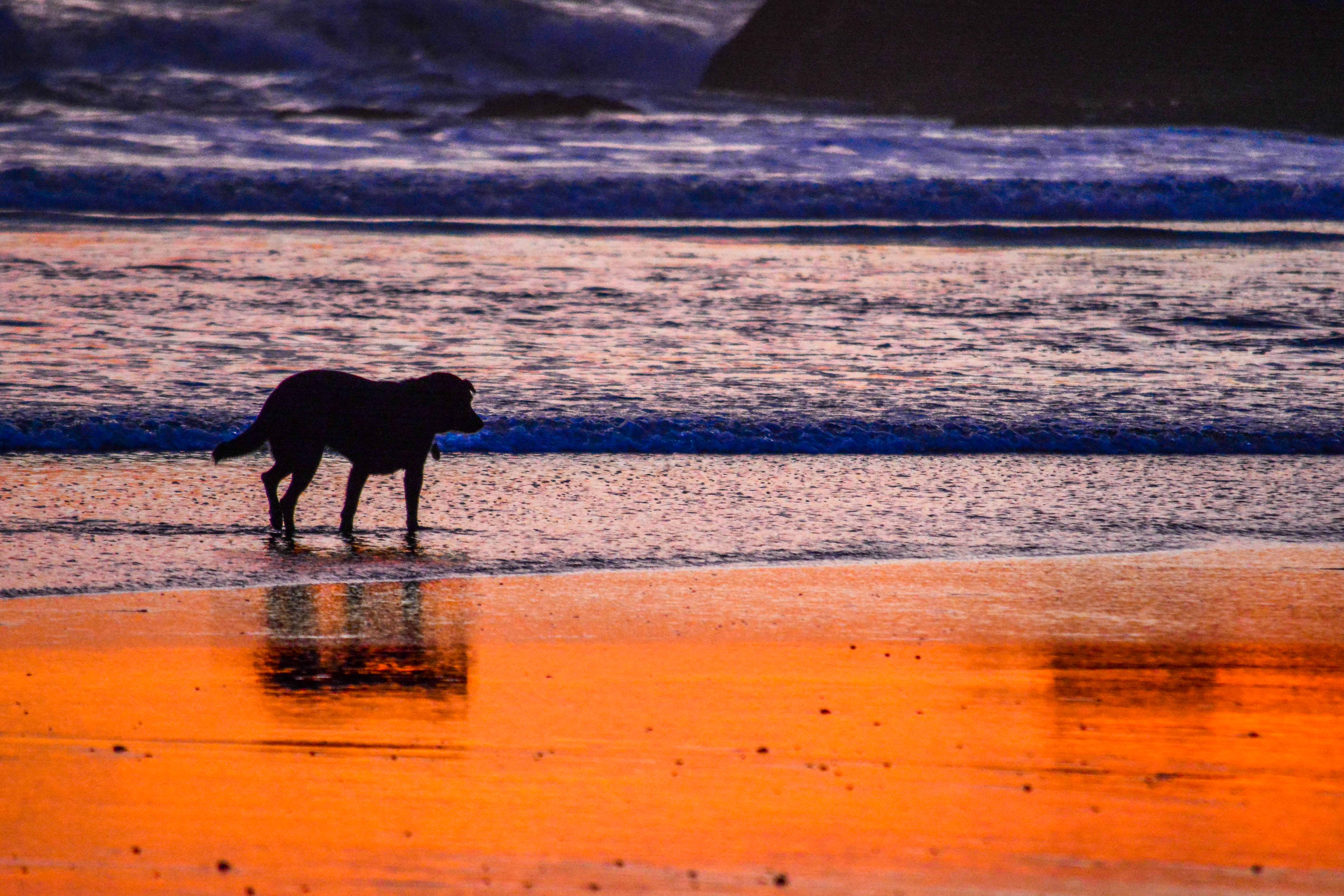 Coucher de soleil crépuscule bali indonésie kuta balian beach sanur blogvoyage blog voyage icietlabas sunset sunrise