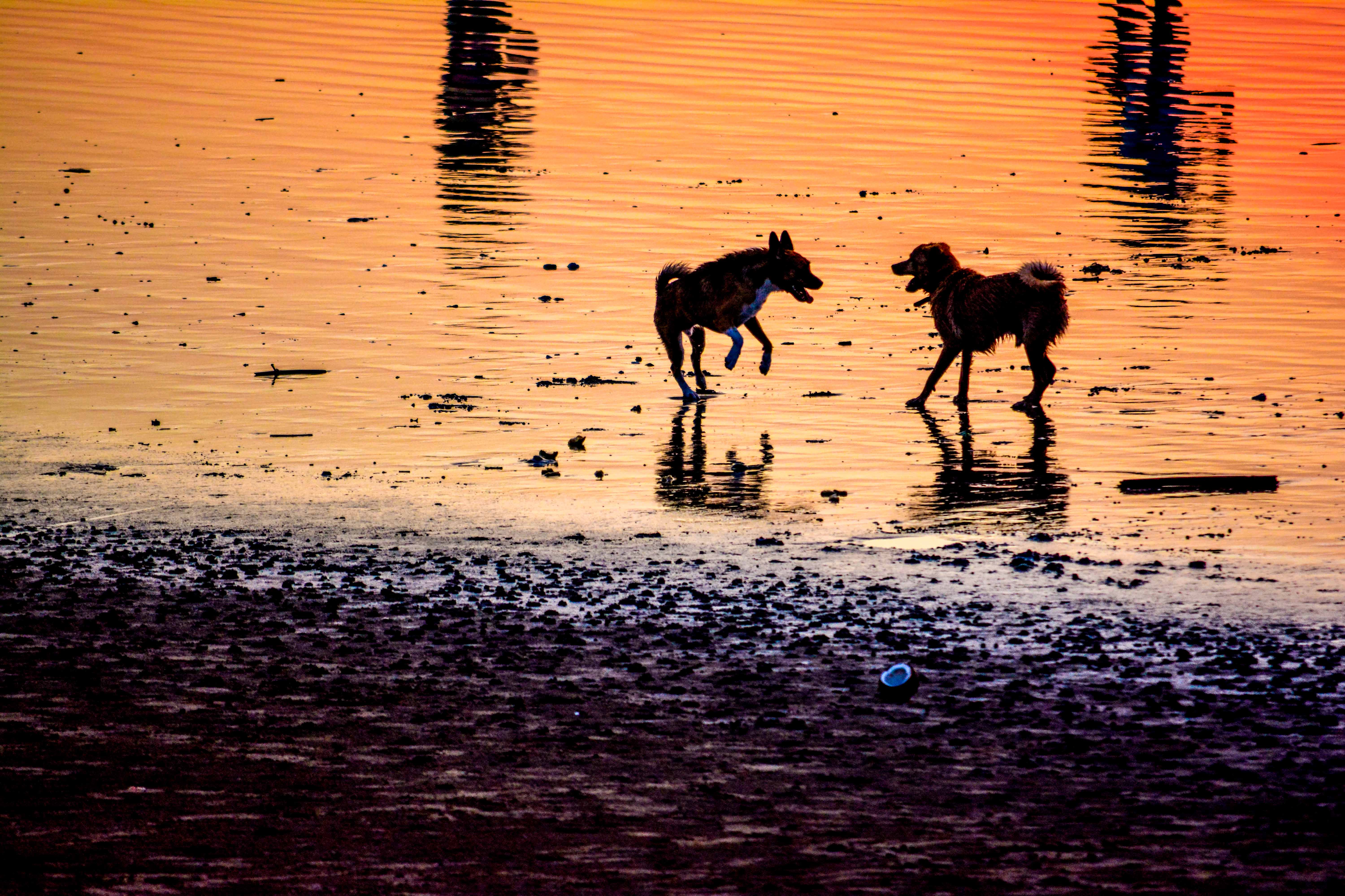 Coucher de soleil crépuscule bali indonésie kuta balian beach sanur blogvoyage blog voyage icietlabas sunset sunrise