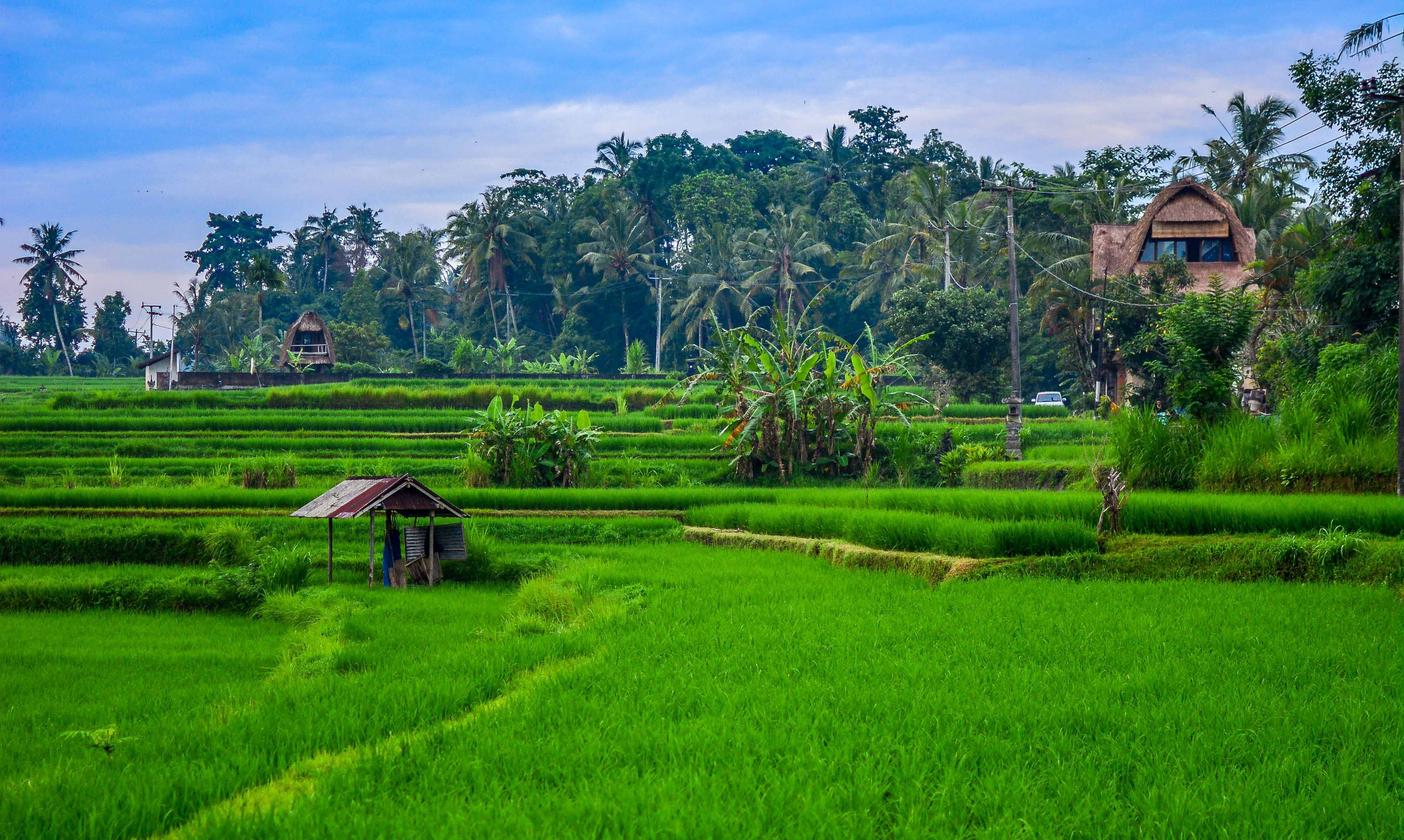Indonésie préparer son voyage adresses bon plan java bali hotels icietlabas blogvoyage blog voyage