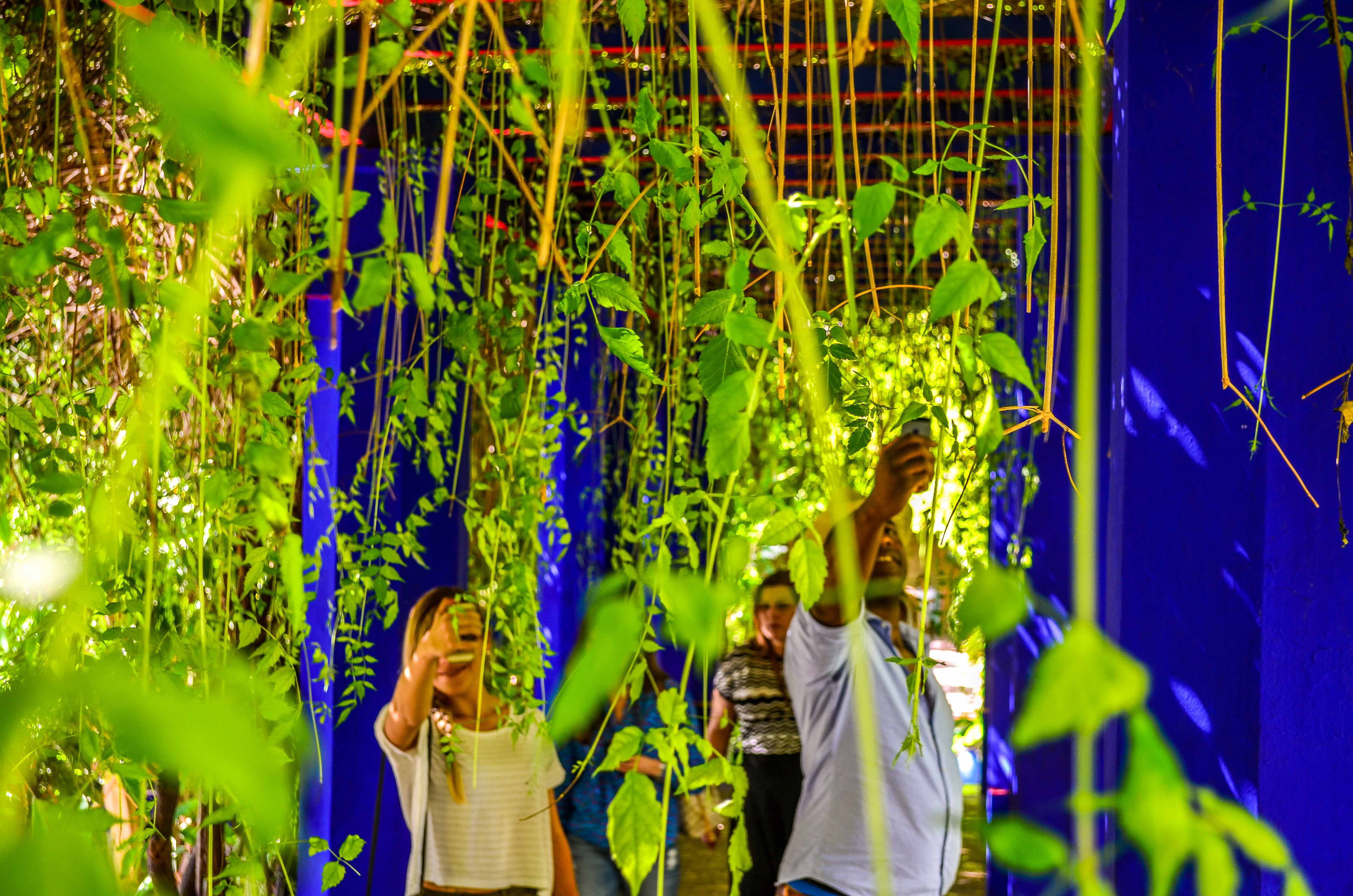 Marrakech Jardin Majorelle BleuMajorelle Bleu Mémorial Yves Saint Laurent blog blogvoyage voyage icietlabas