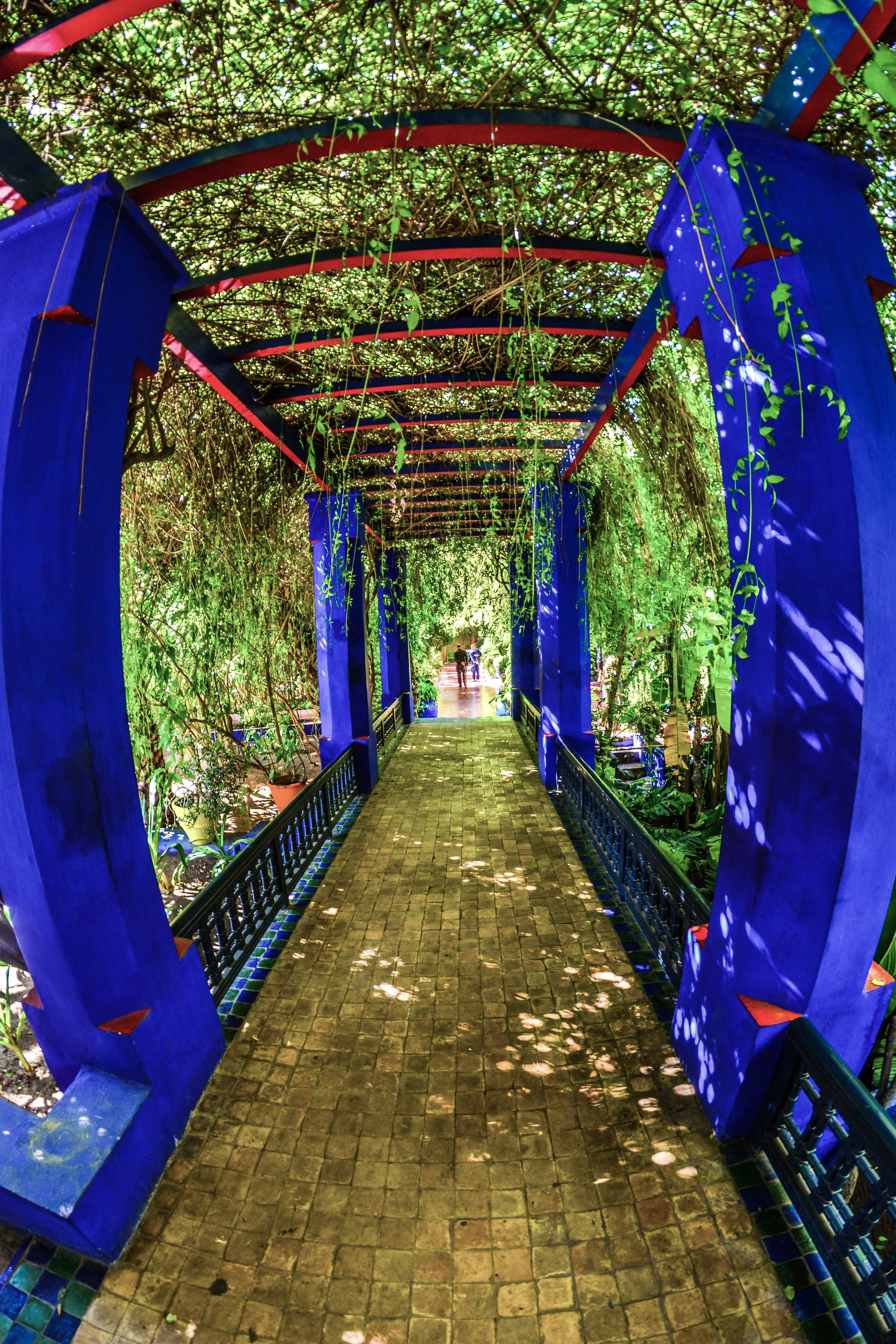 Marrakech Jardin Majorelle Maroc BleuMajorelle Bleu Mémorial Yves Saint Laurent blog blogvoyage voyage icietlabas