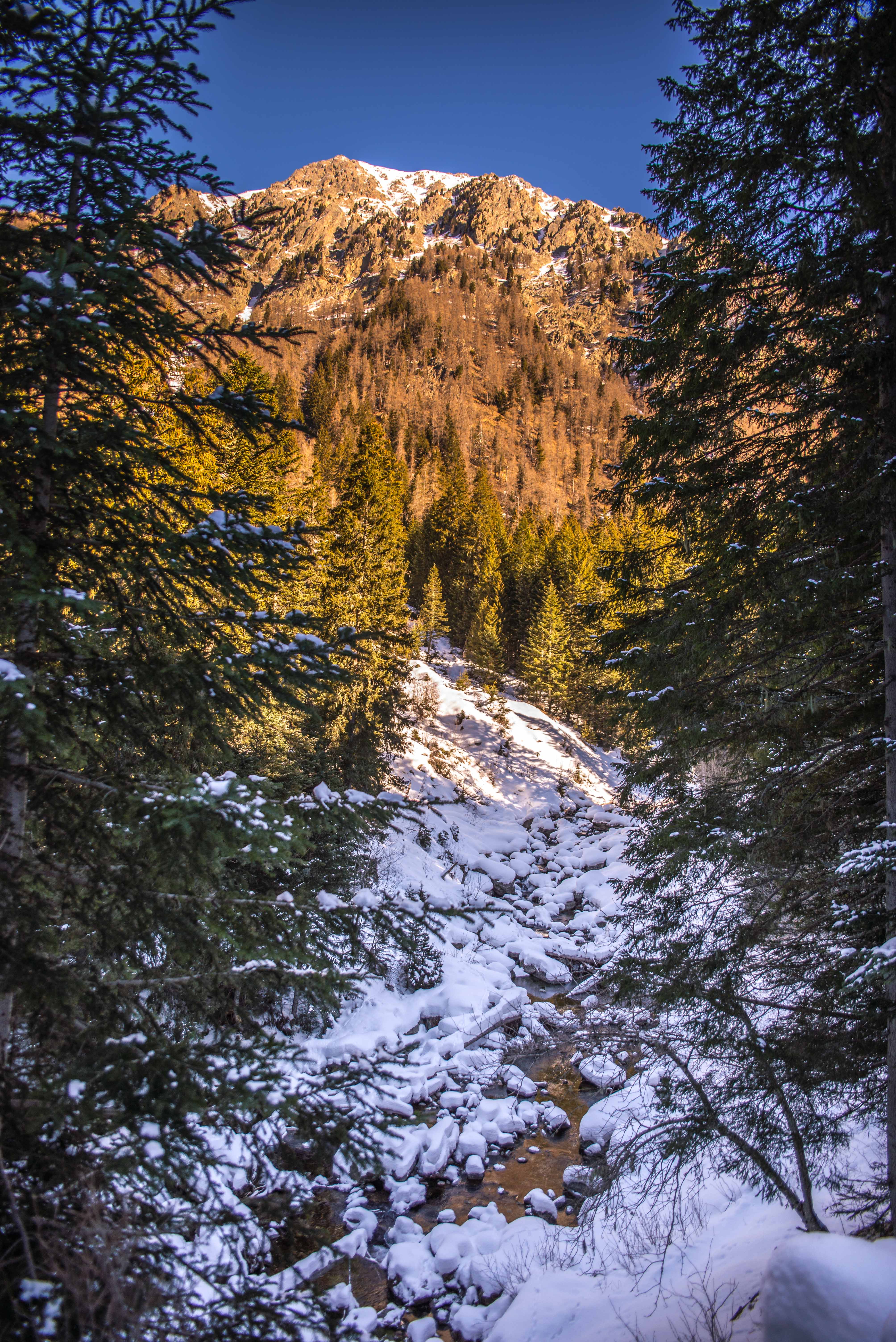 Mercantour Centre nordique du Boréon raquettes Alpes Maritimes mercantour Alpha Loup Blog voyage