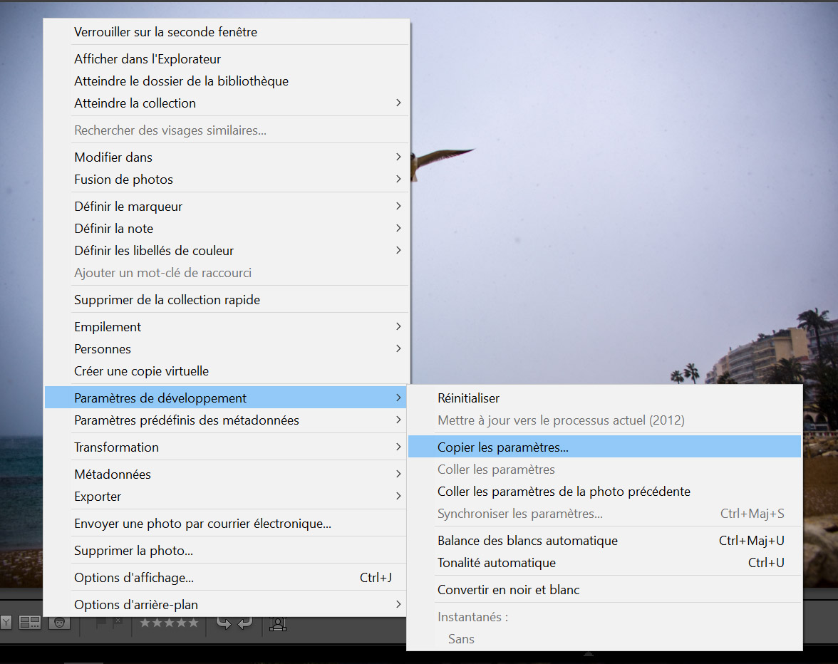 Astuces Lightroom Tutoriel Photo Photographie Blogvoyage Blogvoyage icietlabas
