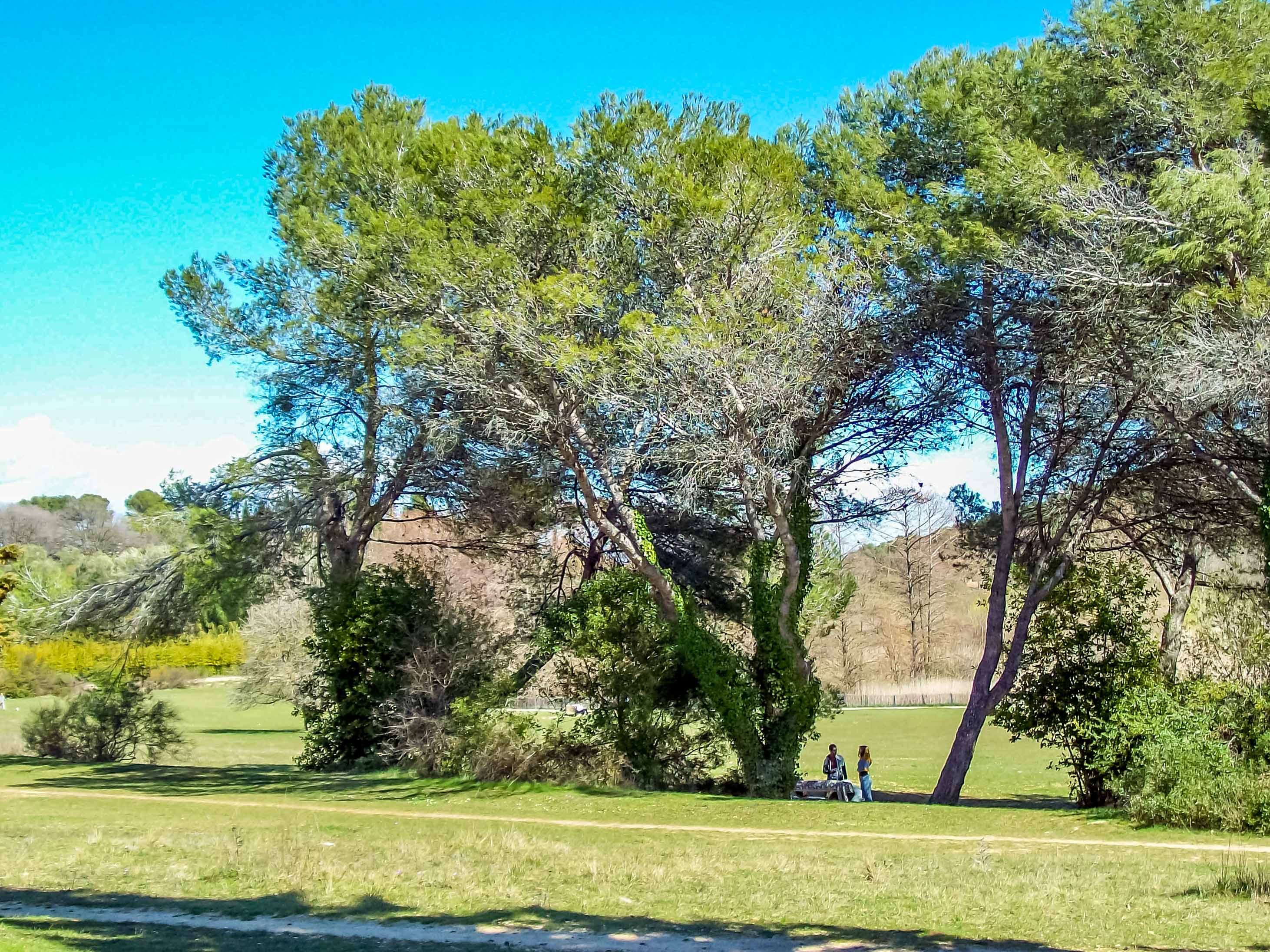 compact Mougins L'appareil fait il le photographe test appareil pourri blogvoyage blog voyage icietlabas