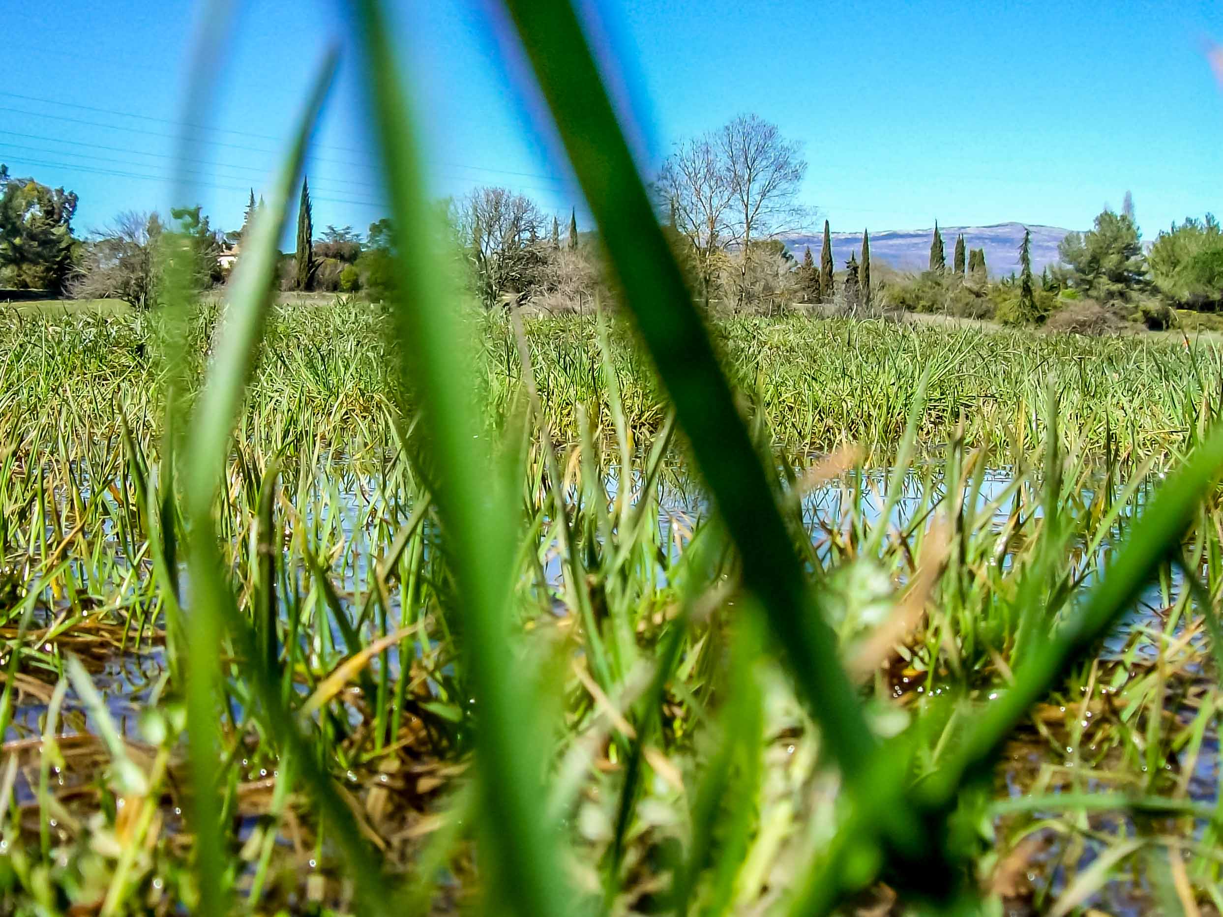 compact Mougins L'appareil fait il le photographe test appareil pourri blogvoyage blog voyage icietlabas