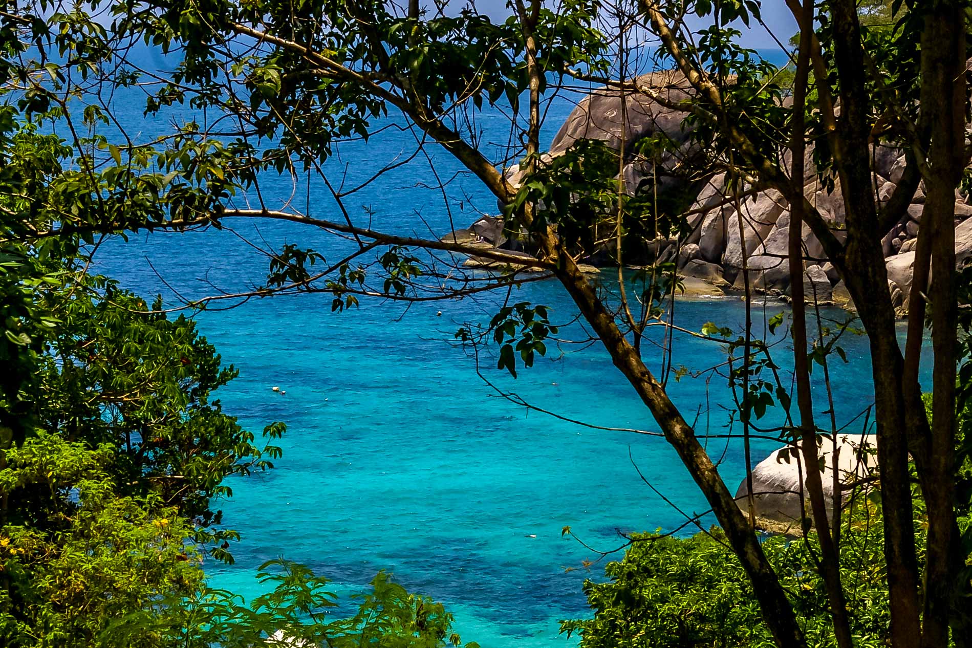 Koh Tao l'île aux tortues Thaïlande Blog voyage blogvoyage icietlabas