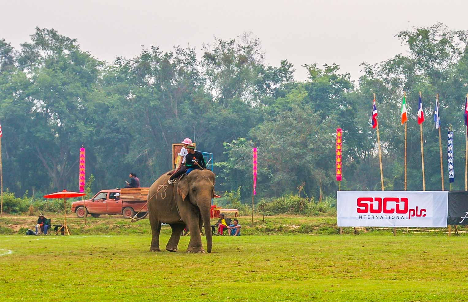triangle d'or Polo à dos d'éléphant ressort Thaïlande Chiang Rai blogvoyage blog voyage icietlabas