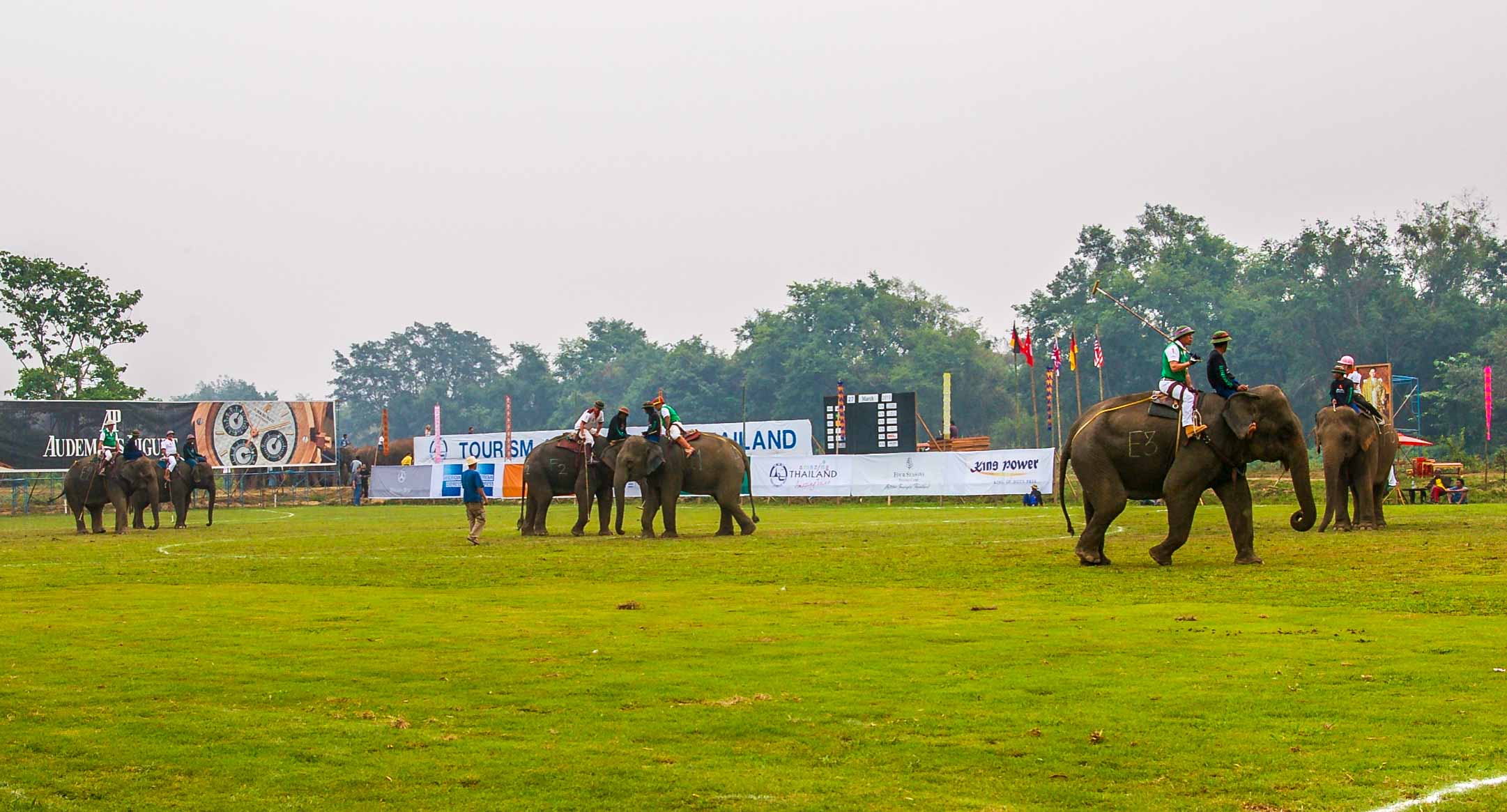 triangle d'or Polo à dos d'éléphant ressort Thaïlande Chiang Rai blogvoyage blog voyage icietlabas