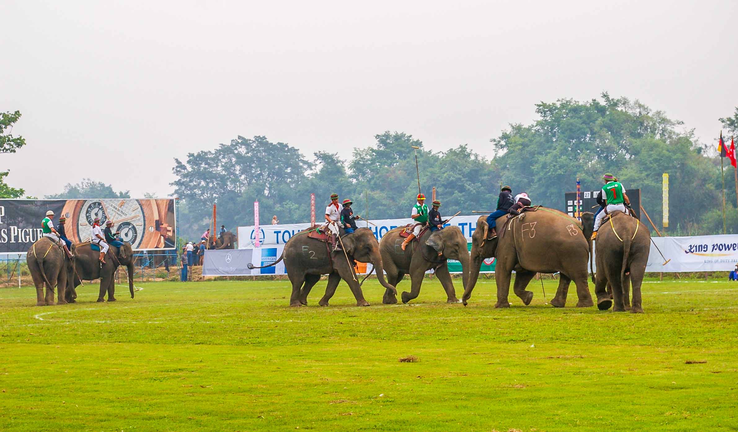 triangle d'or Polo à dos d'éléphant ressort Thaïlande Chiang Rai blogvoyage blog voyage icietlabas