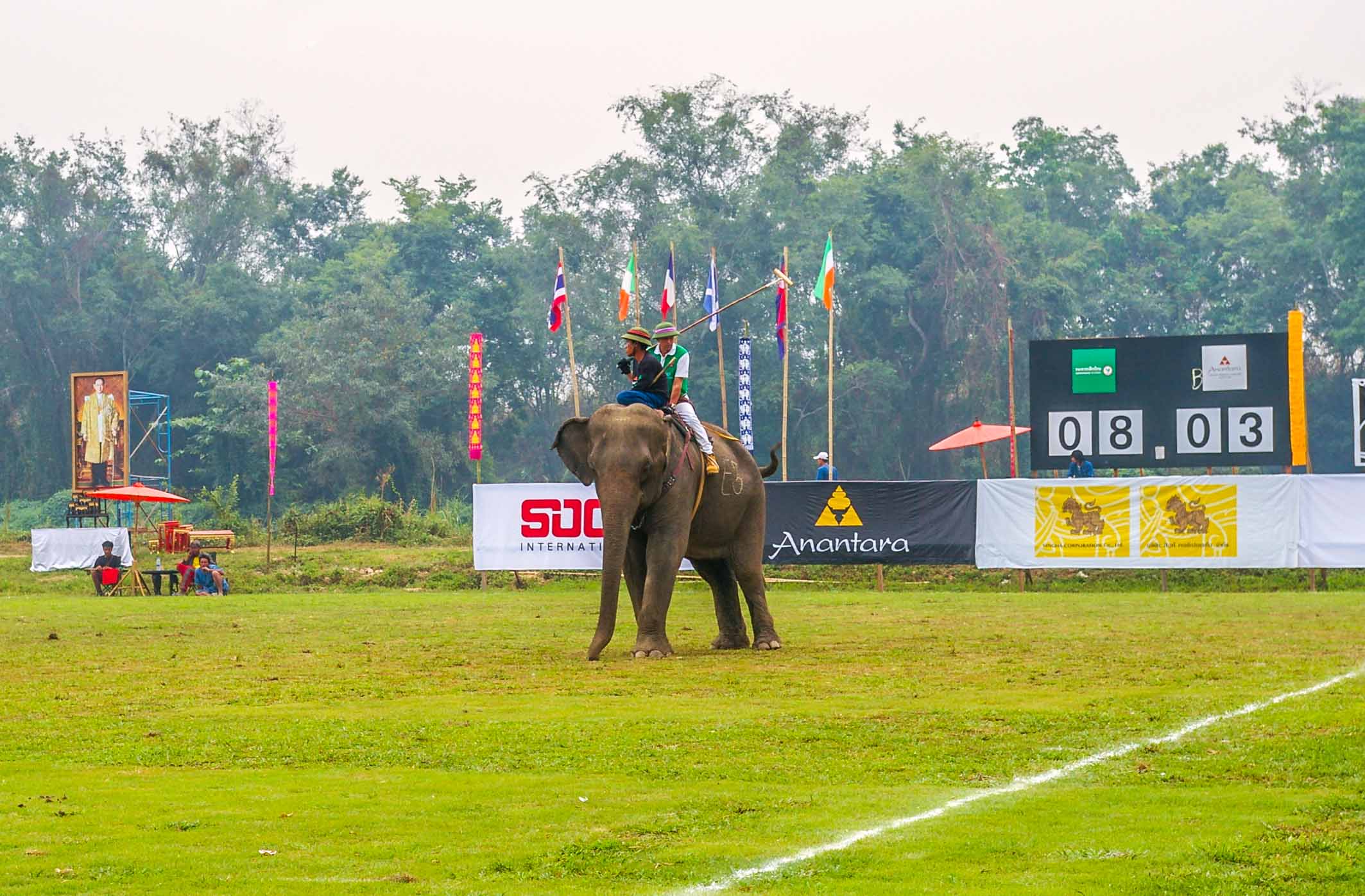 triangle d'or Polo à dos d'éléphant ressort Thaïlande Chiang Rai blogvoyage blog voyage icietlabas