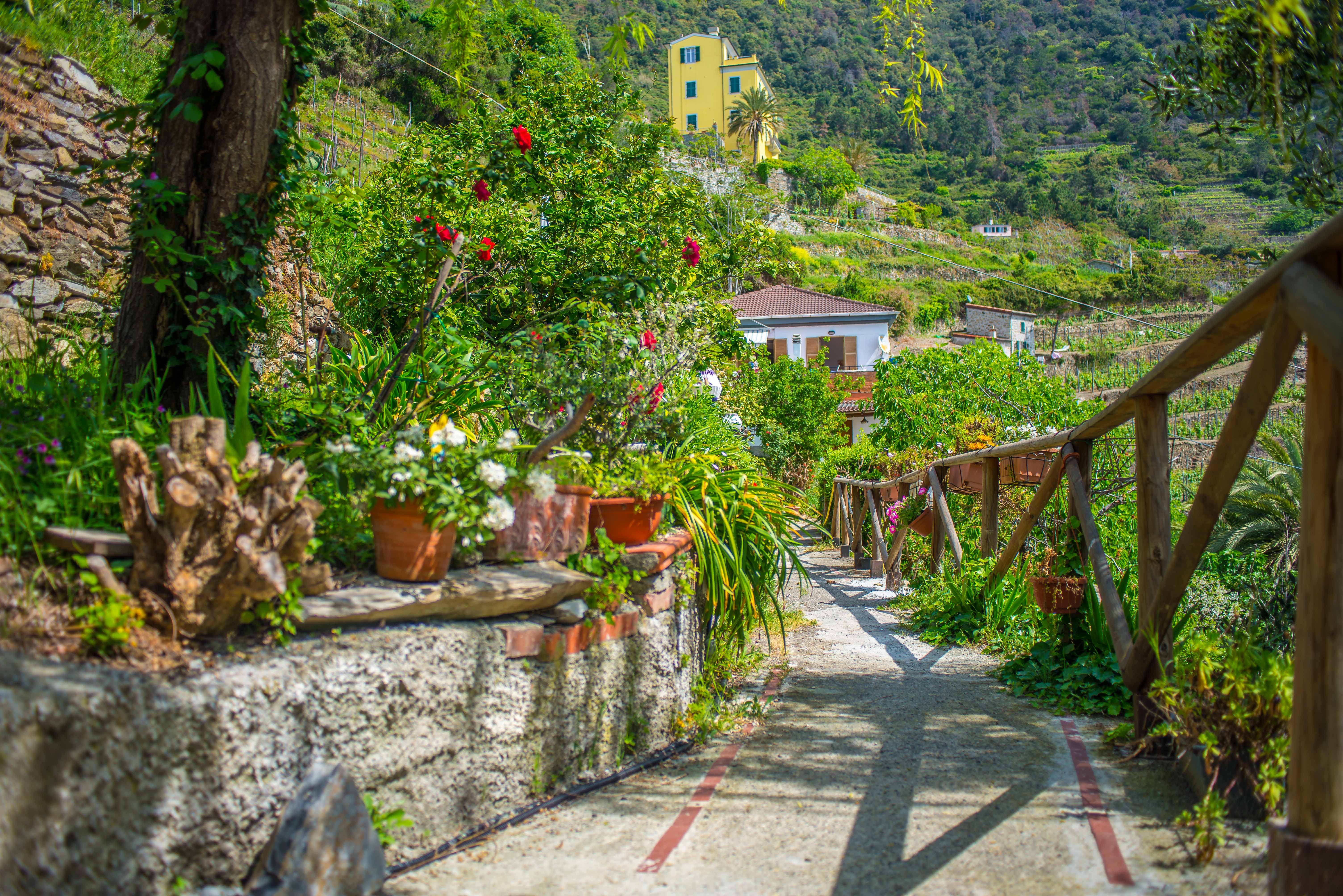 Cinque Terre CinqueTerre Cinq Terre blog voyage Icietlabas
