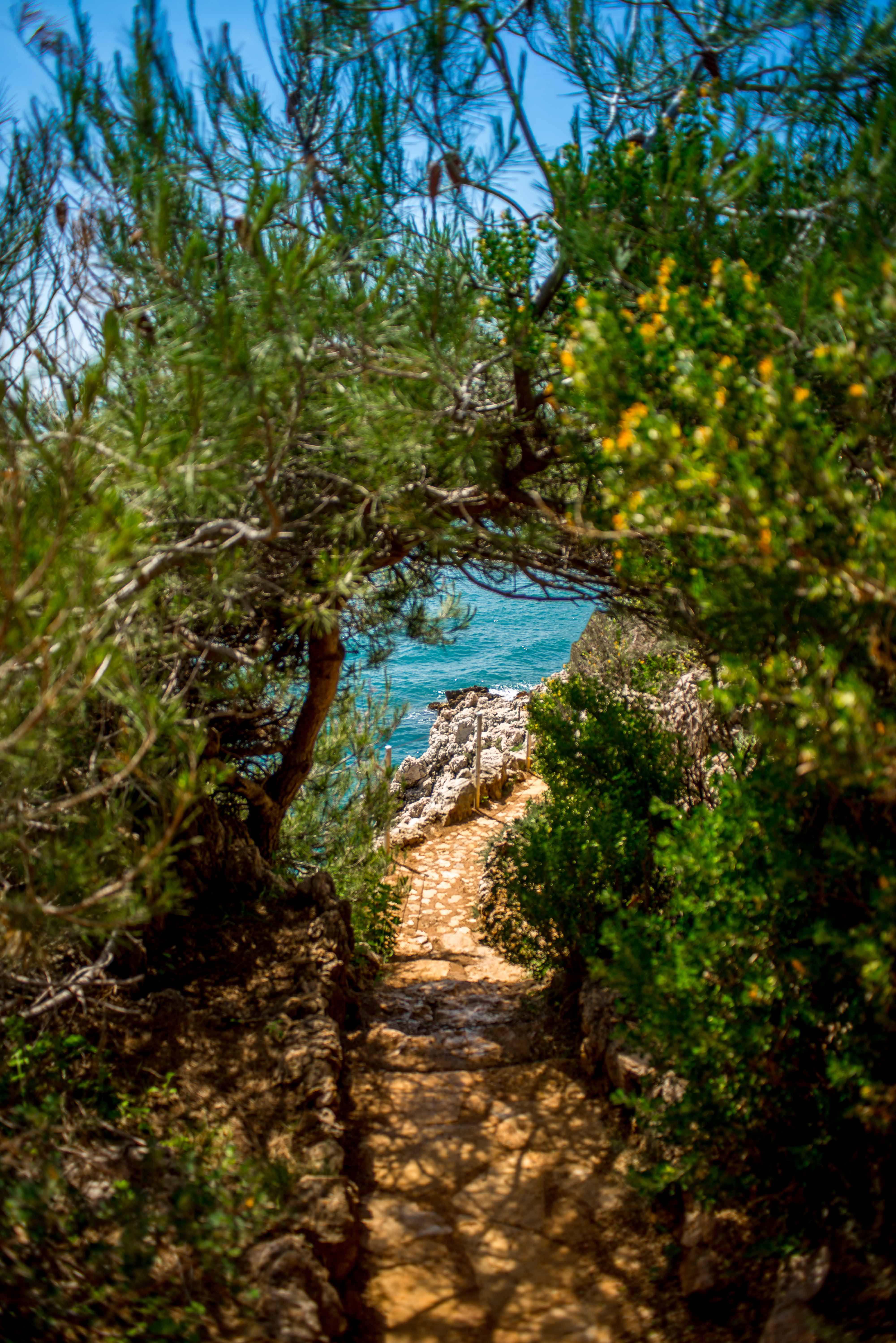 randonnée sentier du littoral cap d'antibes blog voyage icietlabas