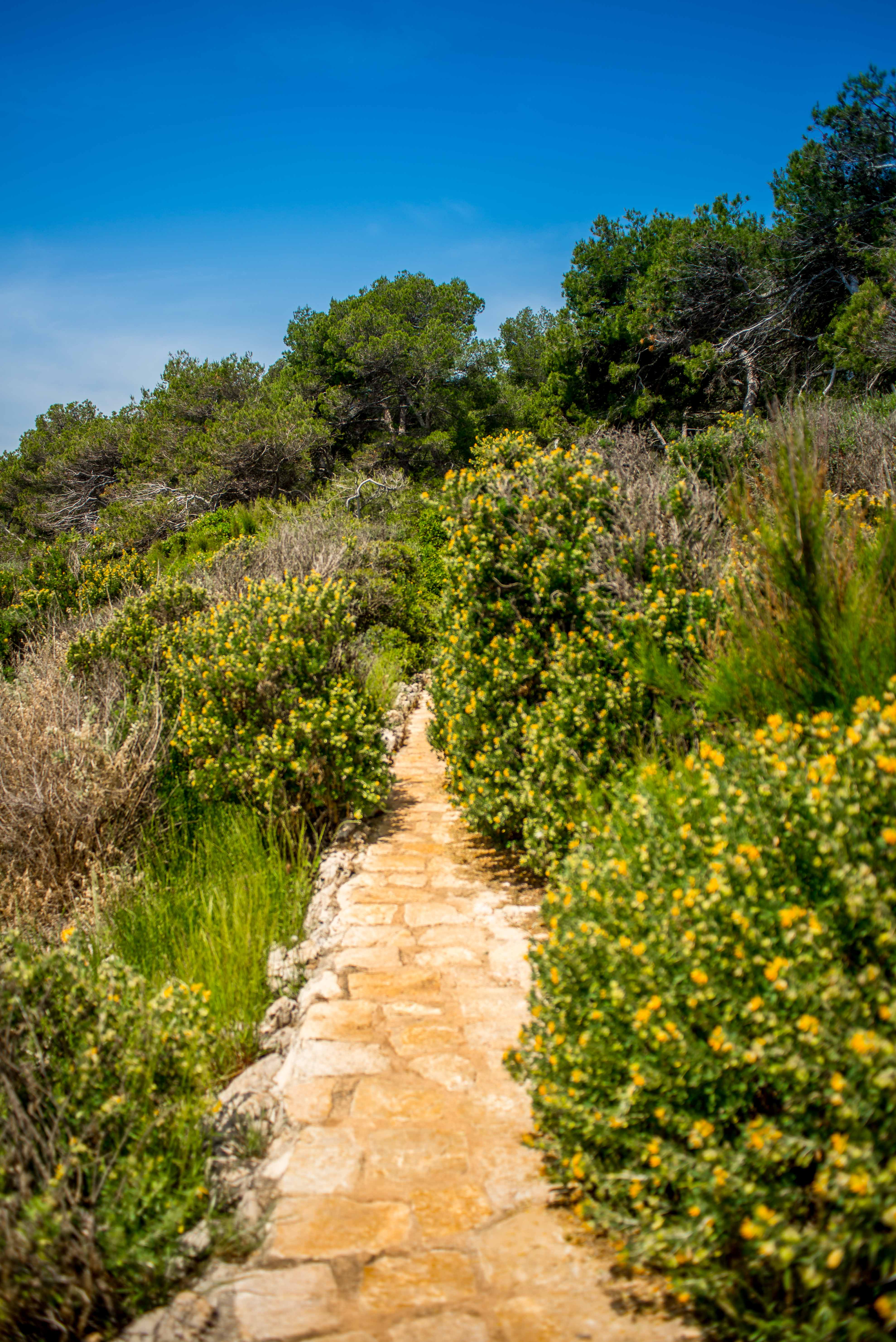 randonnée sentier du littoral cap d'antibes blog voyage icietlabas