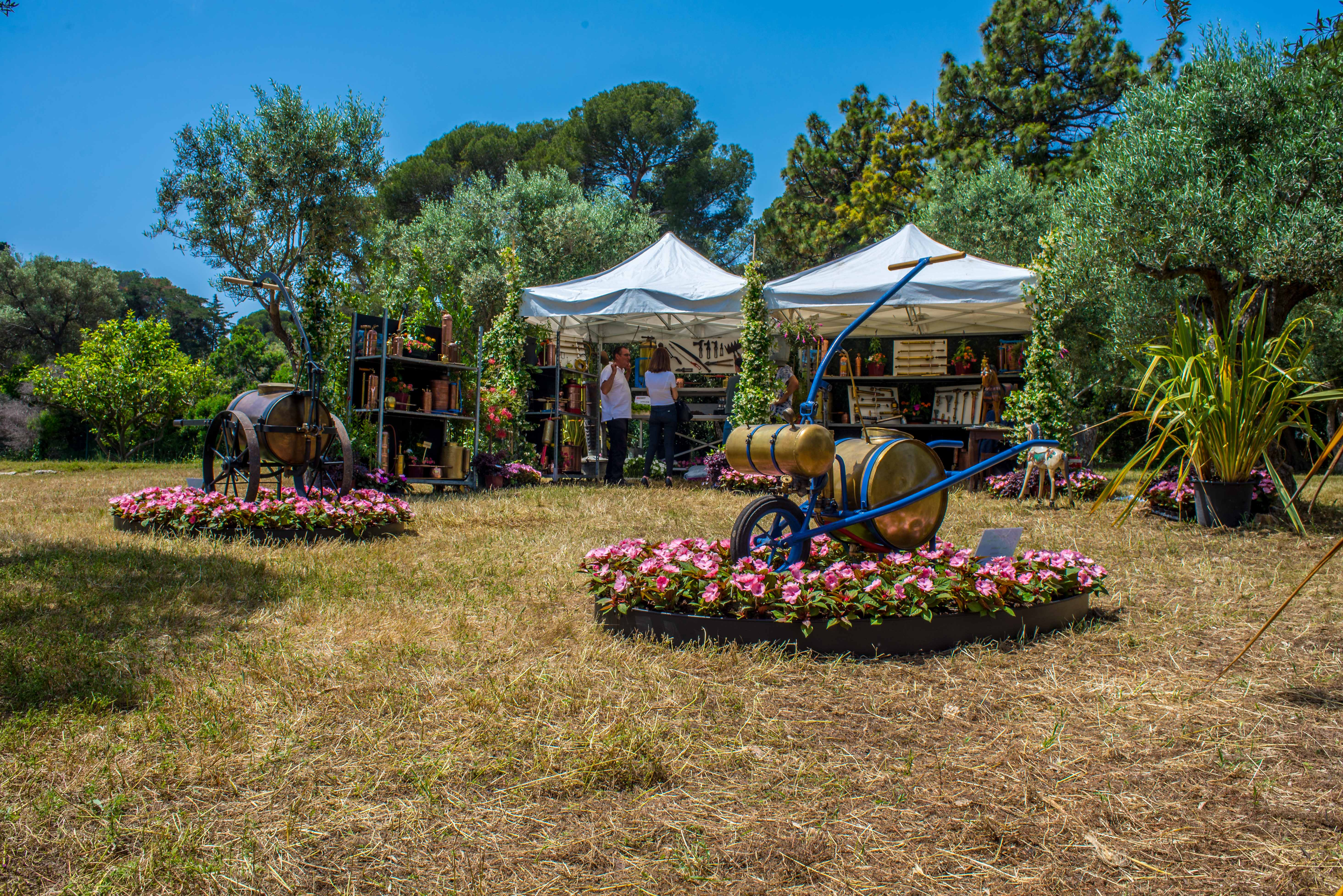 Randonnée Provence Alpes Cote d'Azur Blog voyage