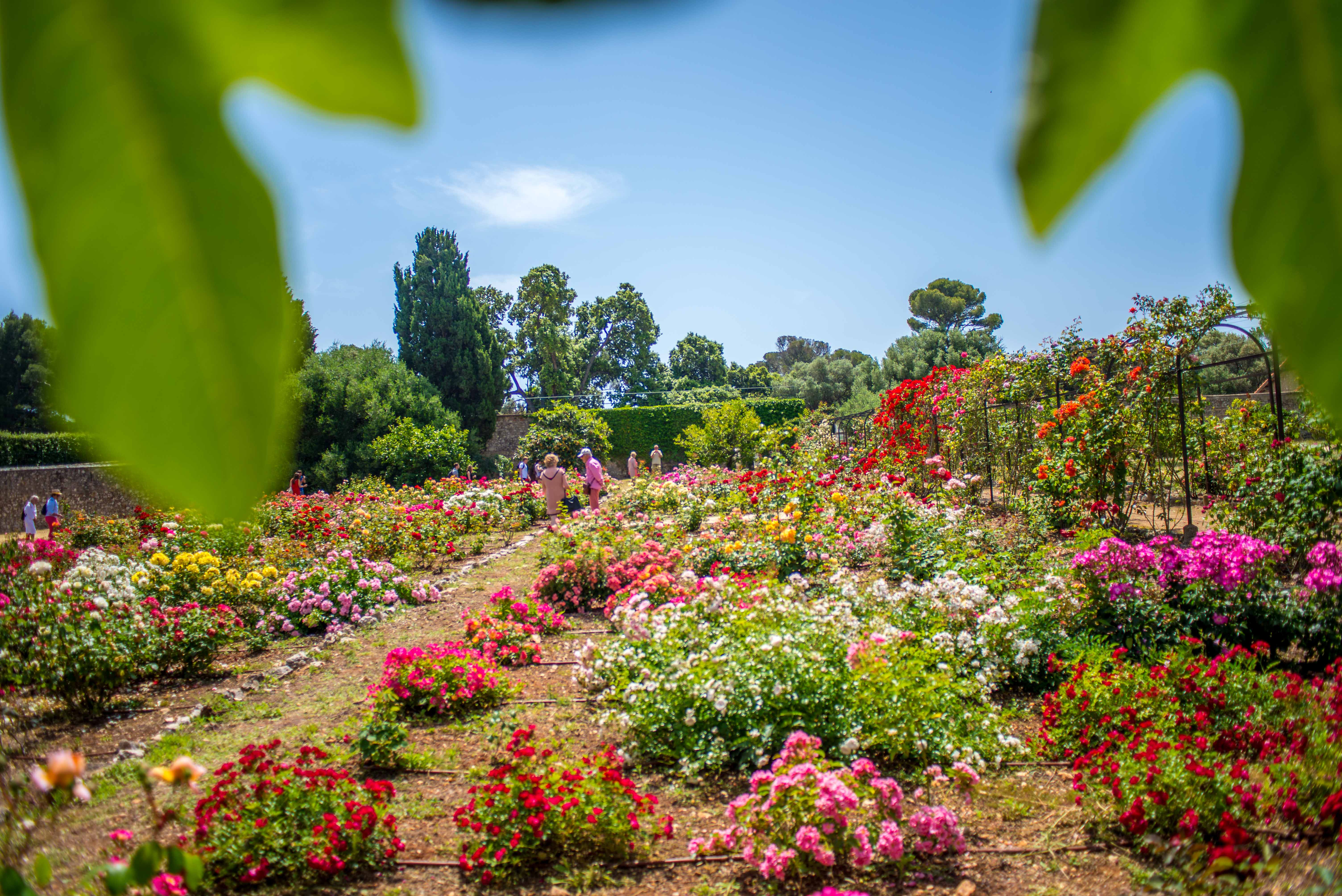 Randonnée Provence Alpes Cote d'Azur Blog voyage