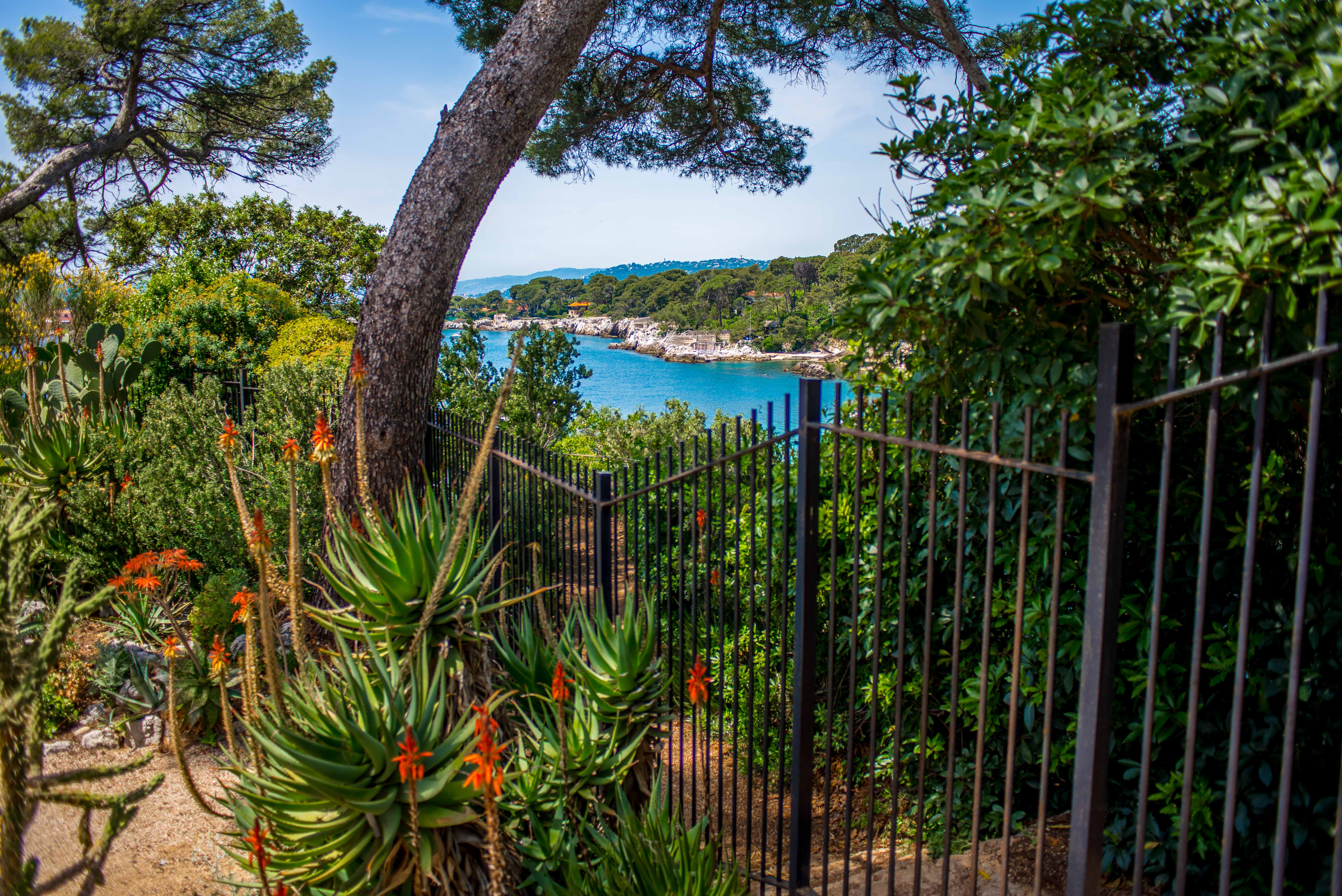 Randonnée Provence Alpes Cote d'Azur Blog voyage
