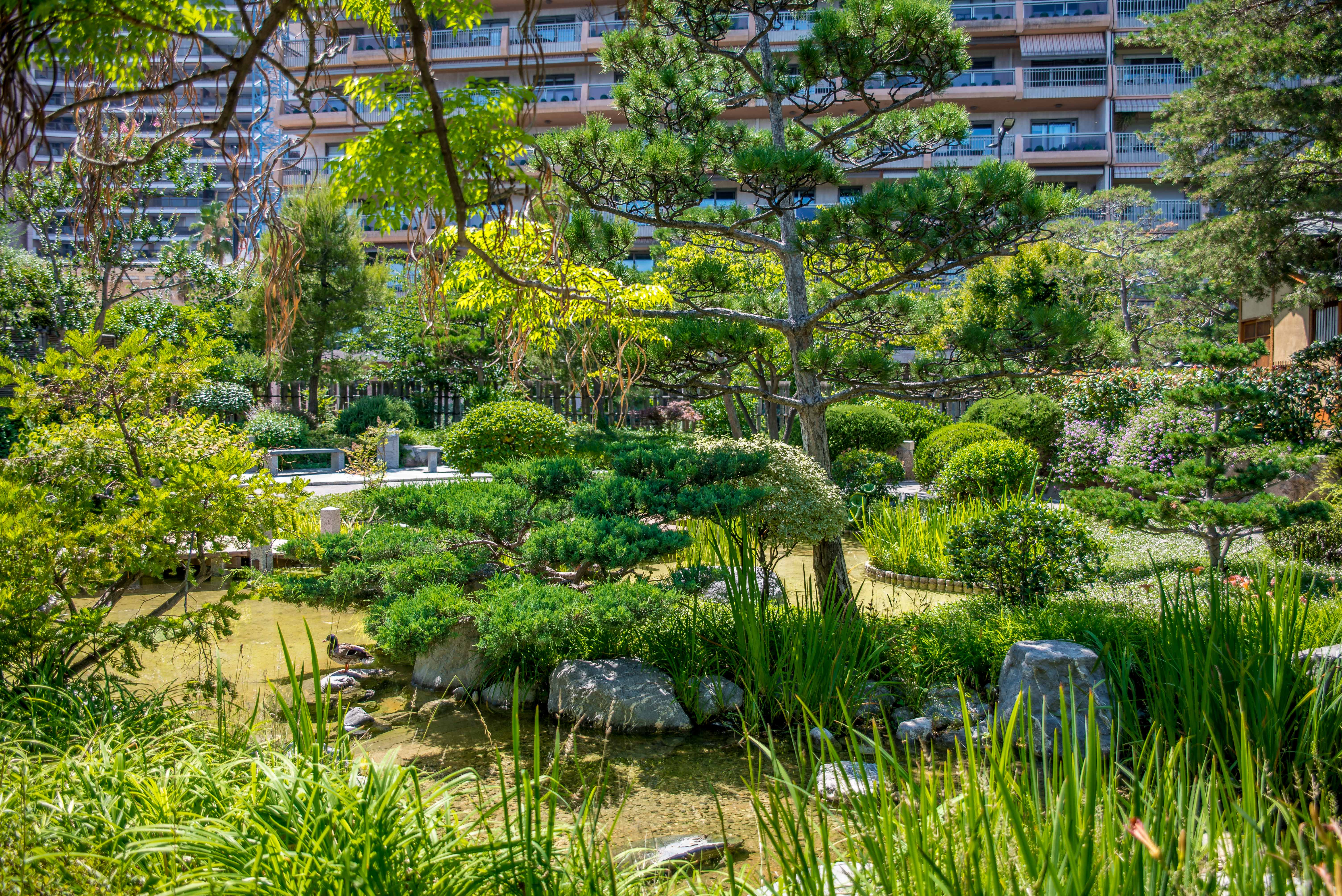 Monaco Montecarlo blog voyage icietlabas