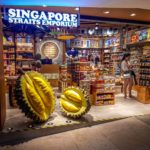 Durian Malaisie Asie Sud-Est Fruit qui pue King of Fruit blog voyage icietlabas