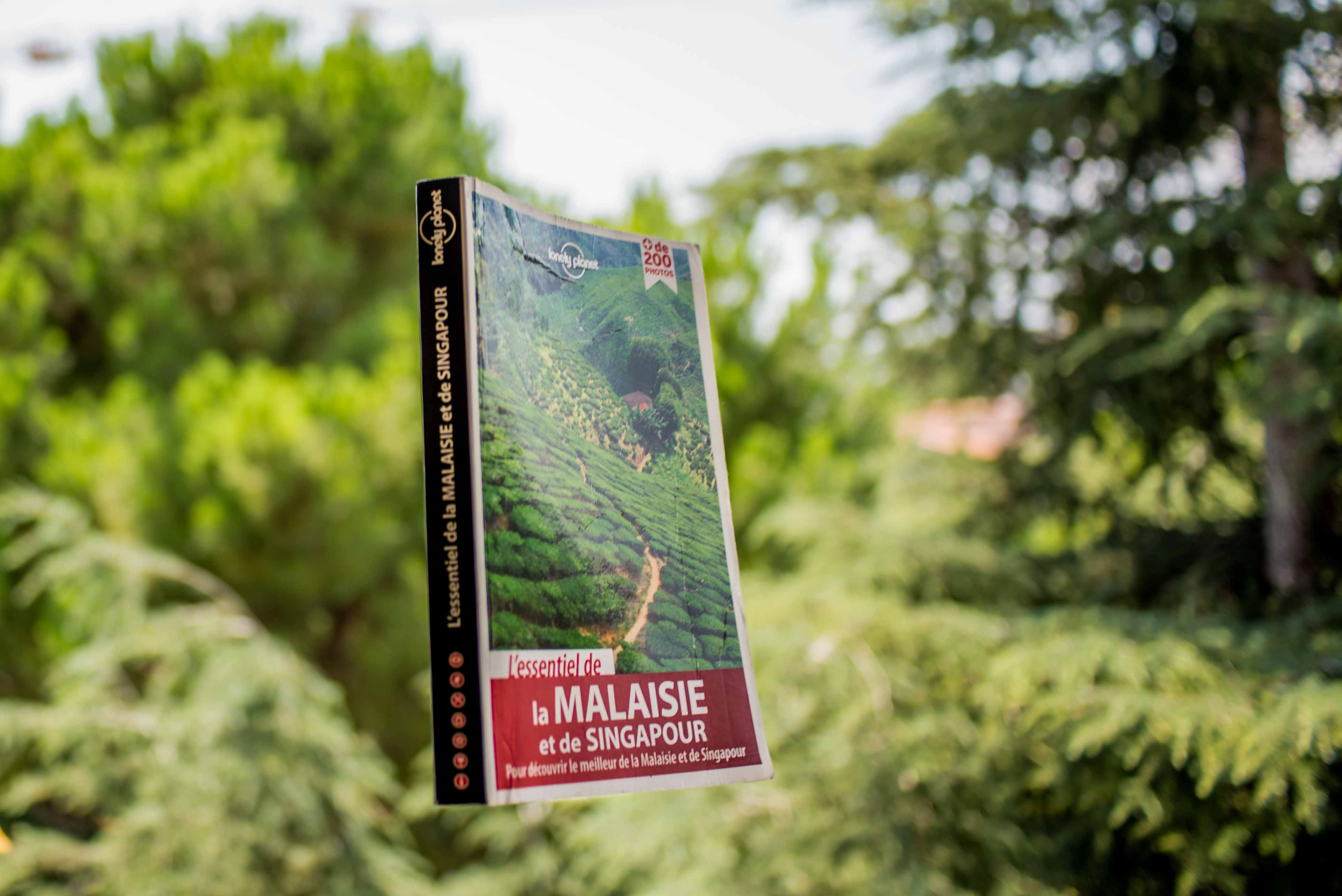 Itinéraire trois semaines en malaisie blog voyage icietlabas