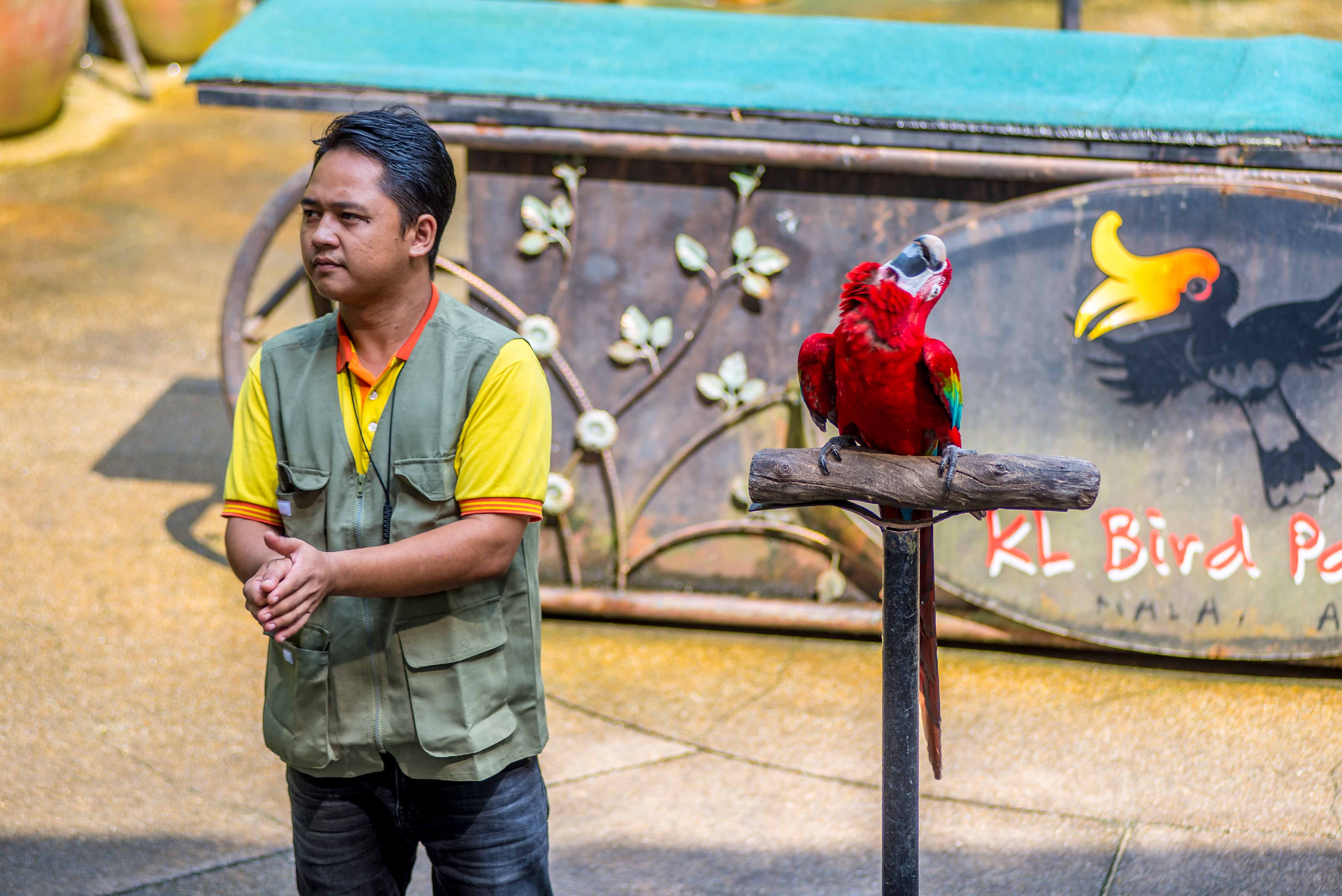 Kuala Lumpur Bird Parc Malaisie blog voyage icietlabas