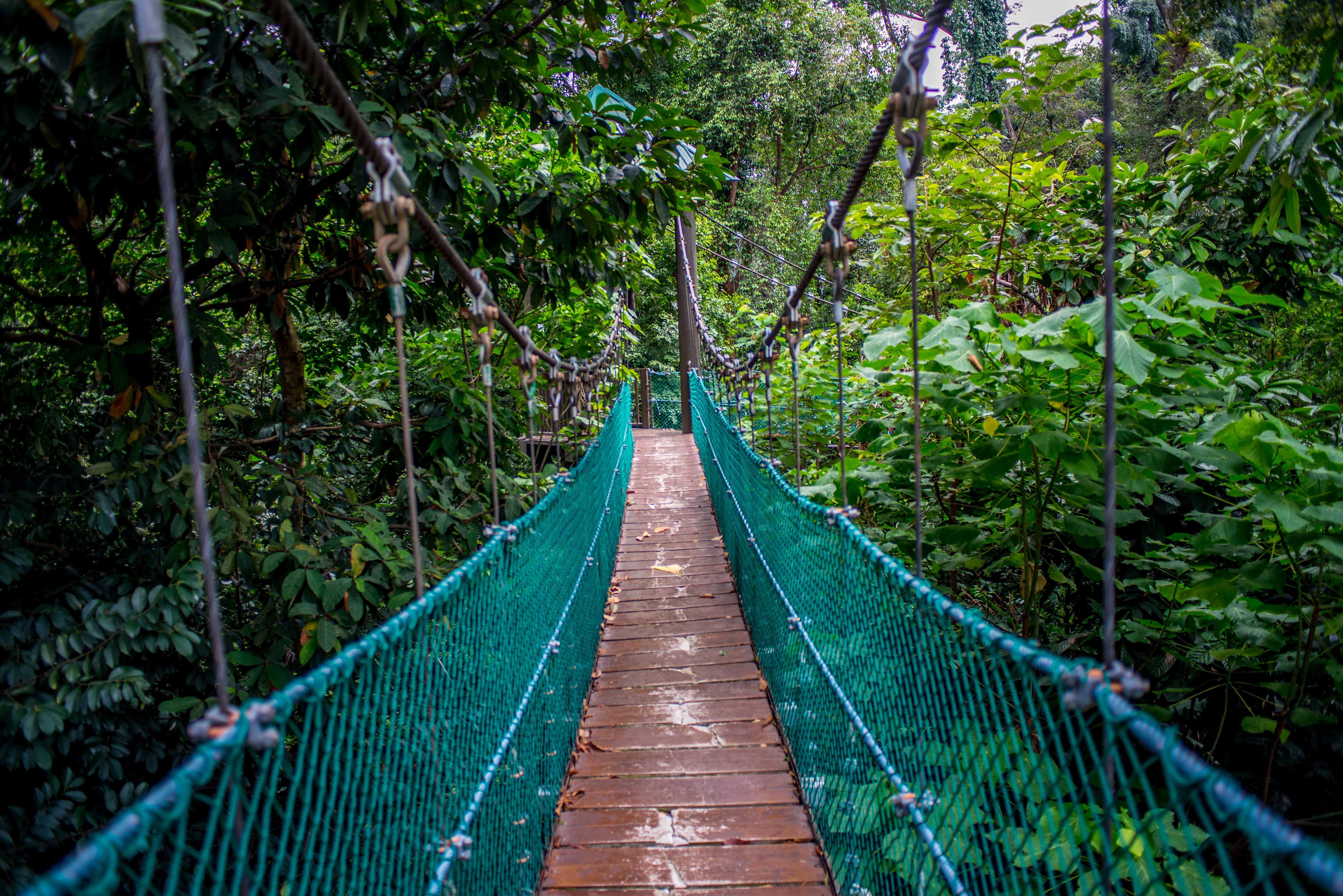 Kuala Lumpur KL ECOPARK Malaisie blog voyage icietlabas