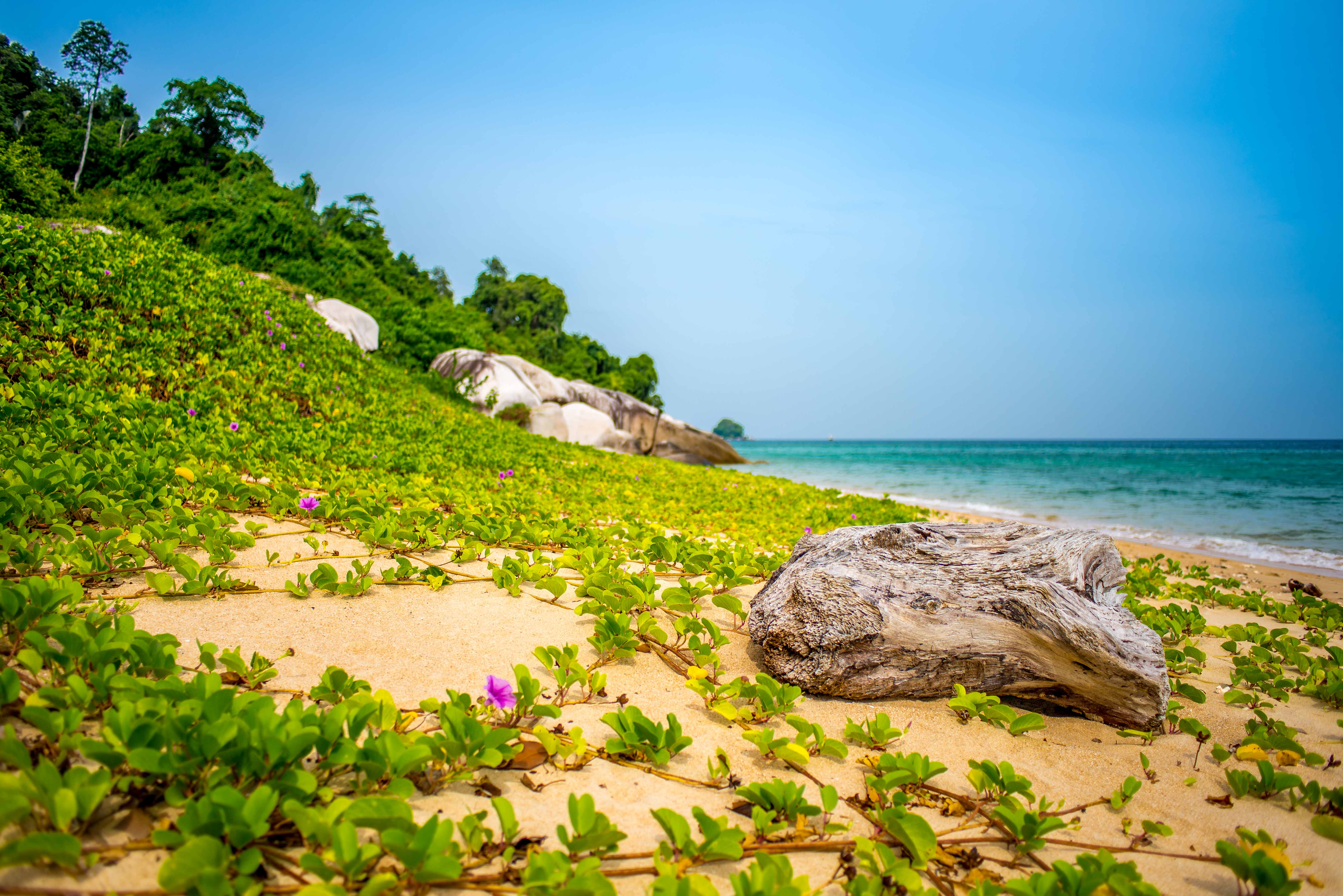 Tioman Pulau Malaisie Malaysia Blog voyage Icietlabas