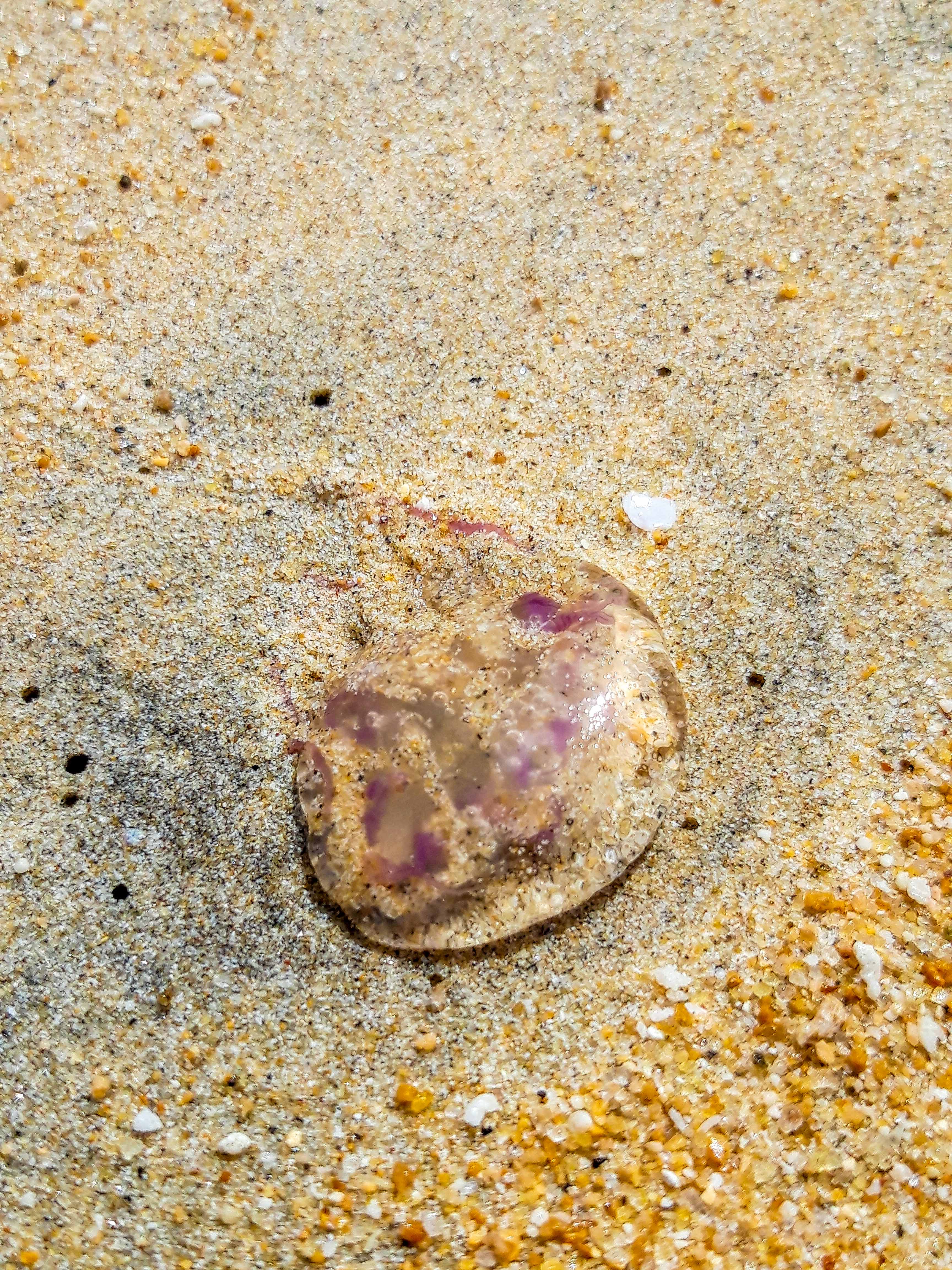 Tioman Pulau Malaisie Malaysia Blog voyage Icietlabas