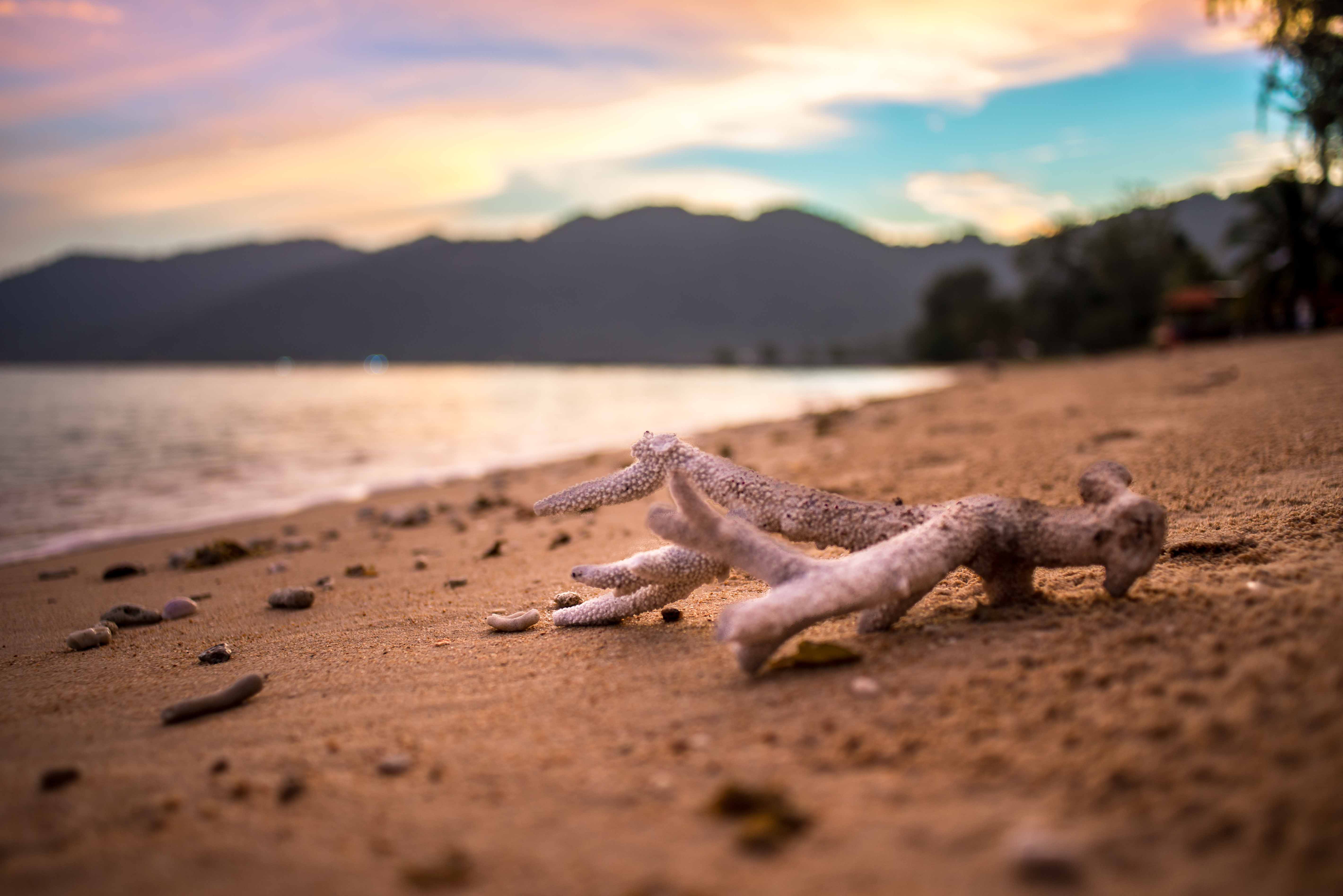 Tioman Pulau Malaisie Malaysia Blog voyage Icietlabas