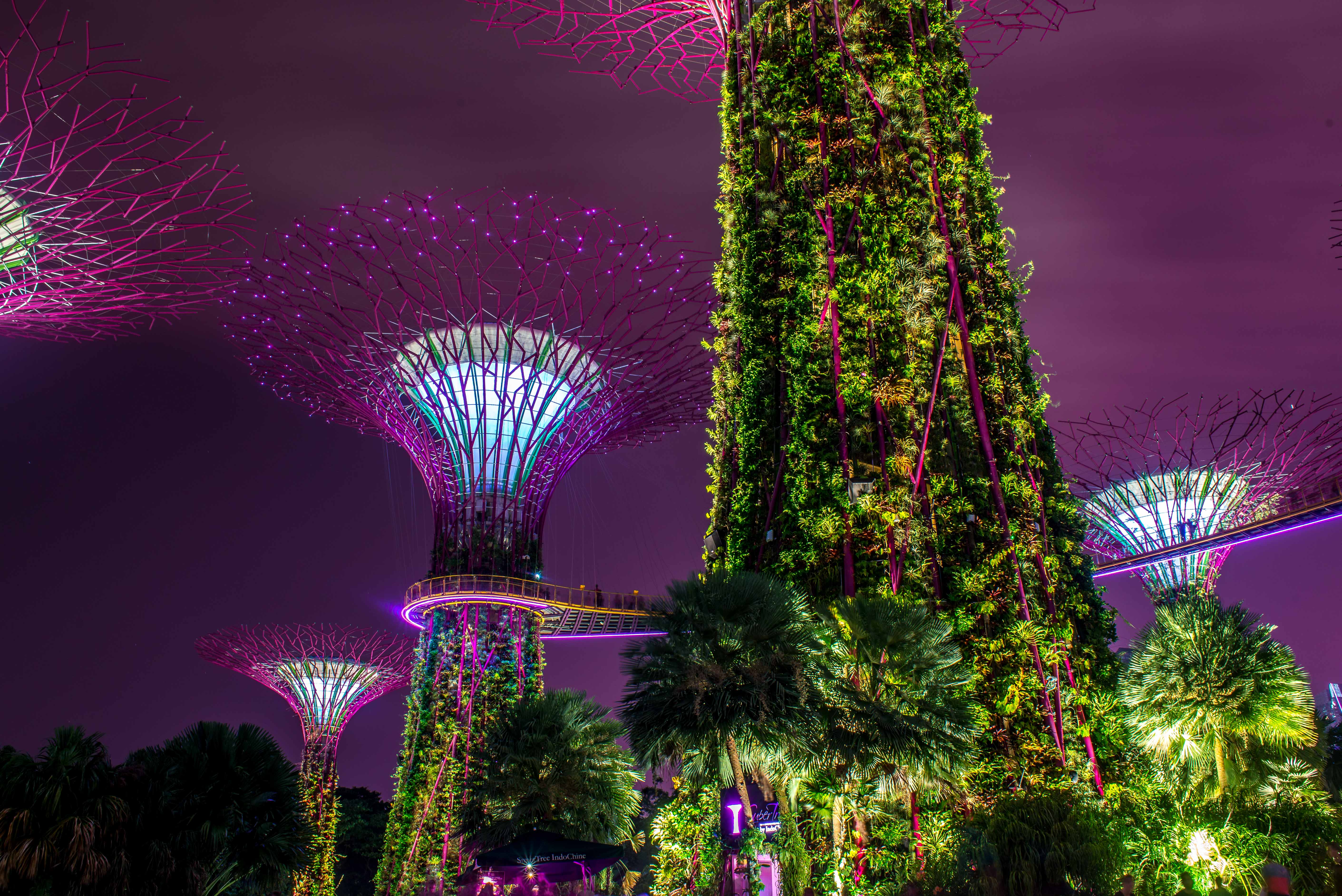 Cool @ Singapour ! singapour singapour asie blog voyage icietlabas