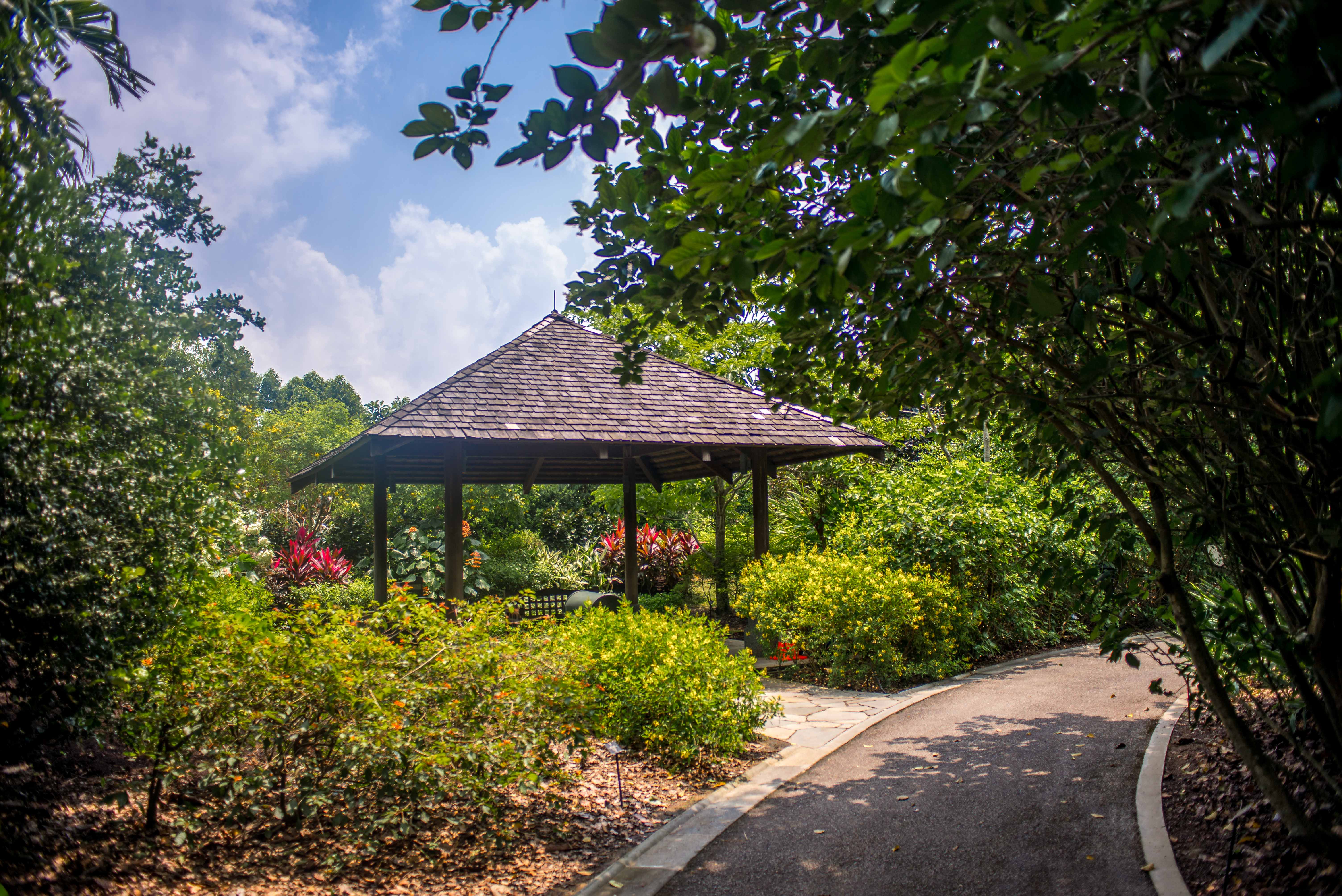 Cool @ Singapour ! singapour singapour asie blog voyage icietlabas