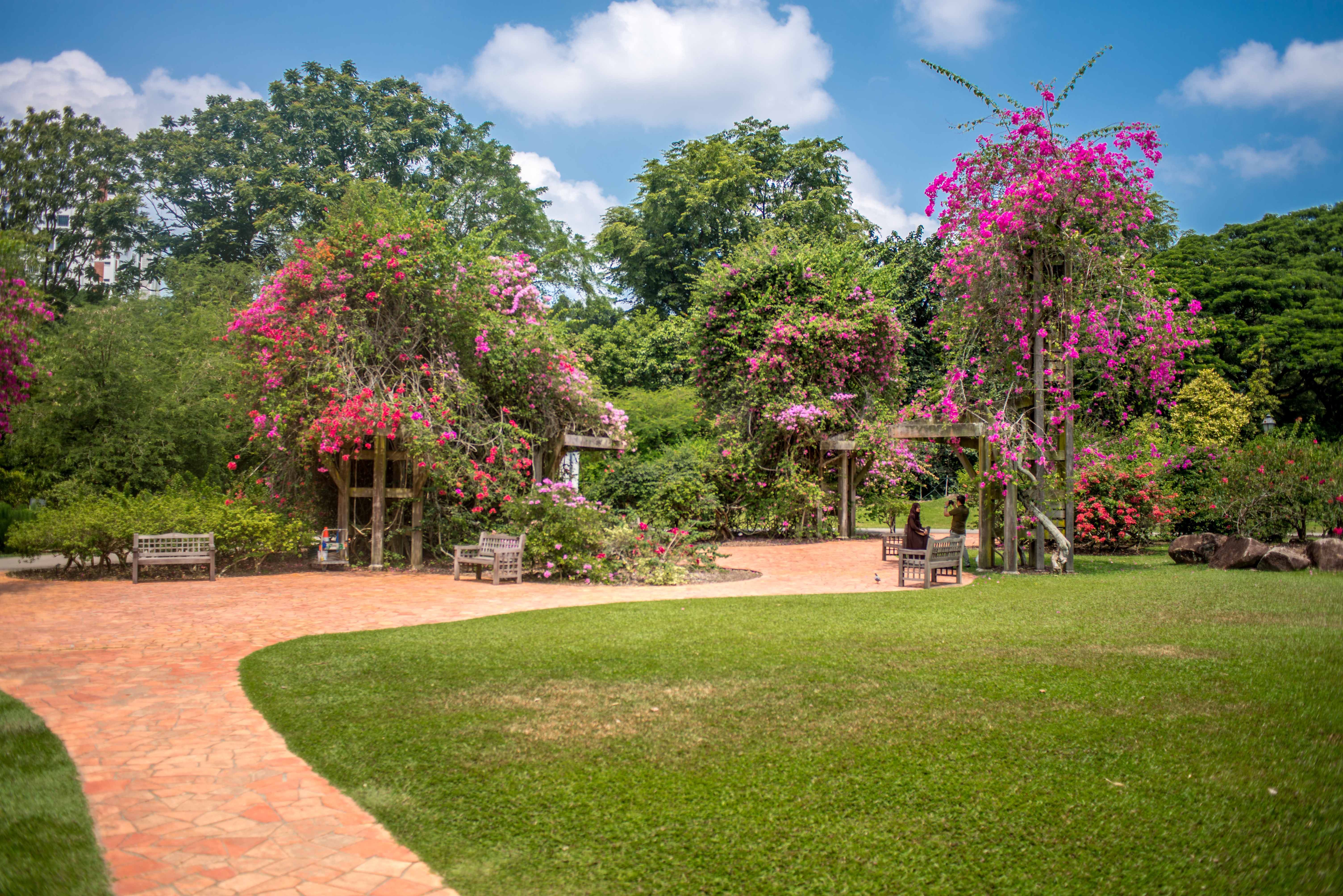Cool @ Singapour ! singapour singapour asie blog voyage icietlabas