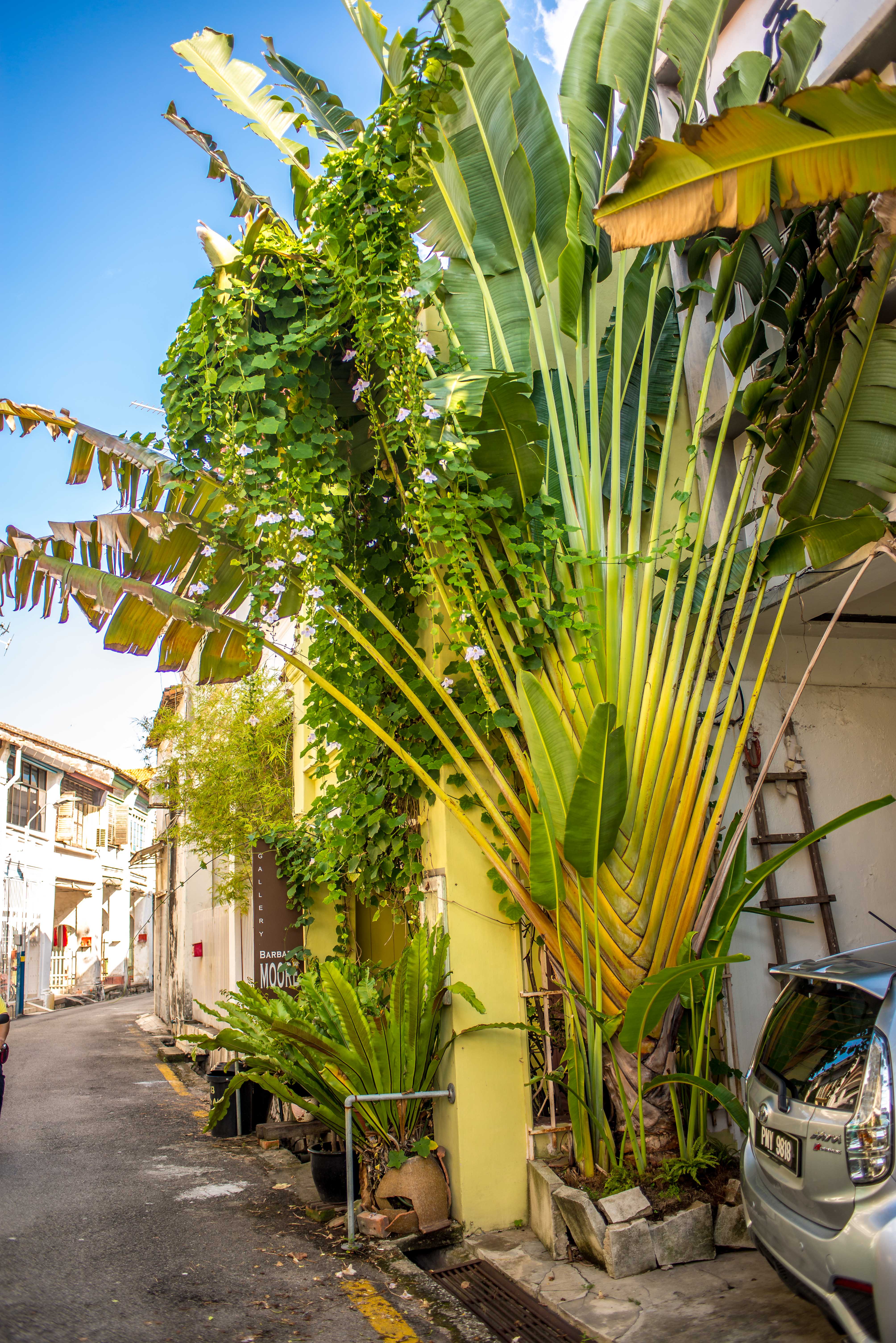 Texte alternatif Penang Malaisie Malaysia blog voyage icietlabas Décrivez le but de l’image(ouvre un nouvel onglet). Laissez vide si l’image est purement décorative. Légende RÉGLAGES DE L’AFFICHAGE AlignementGauche Centre Droite Aucun