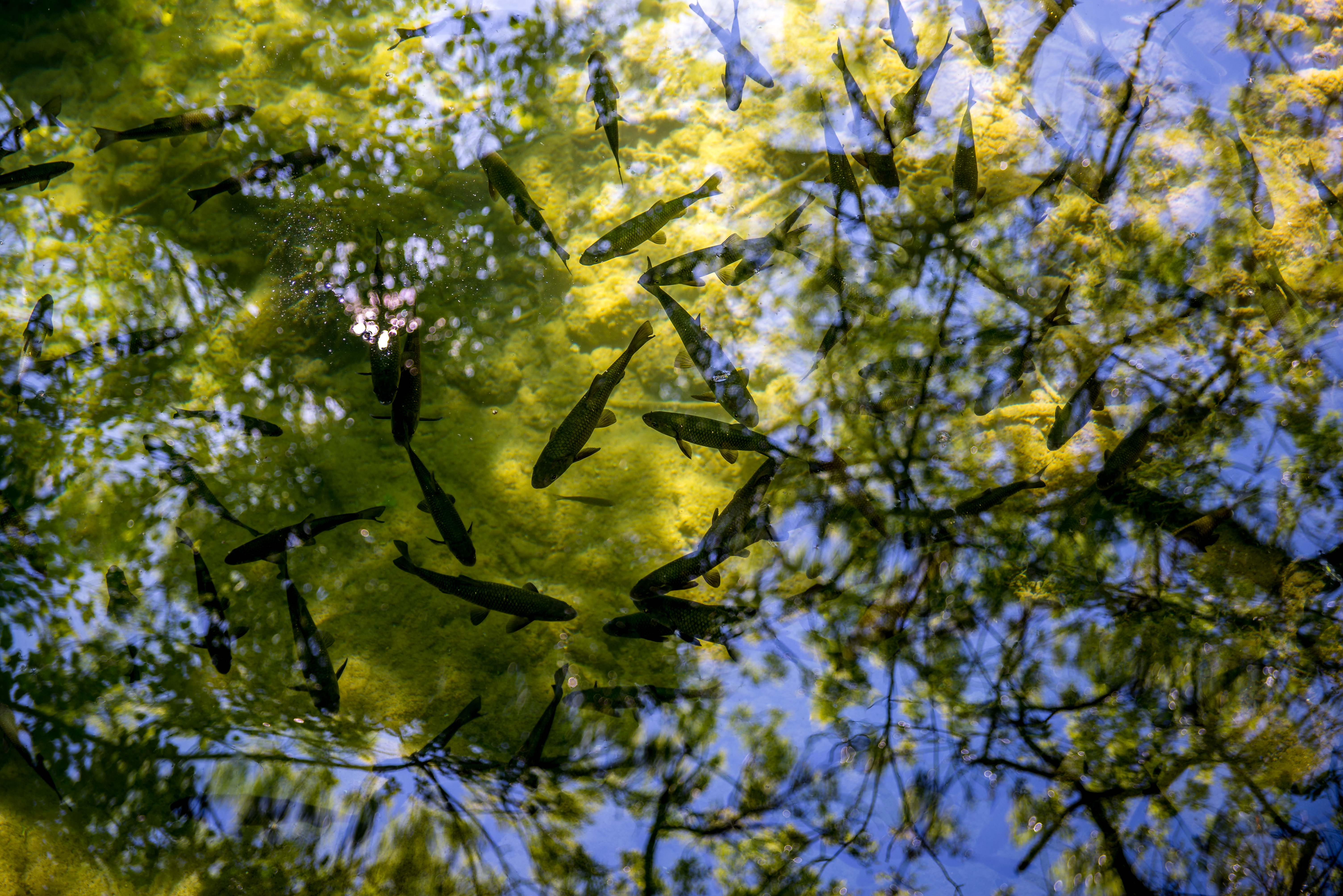 Krka parc national Croatie blog voyage icietlabas