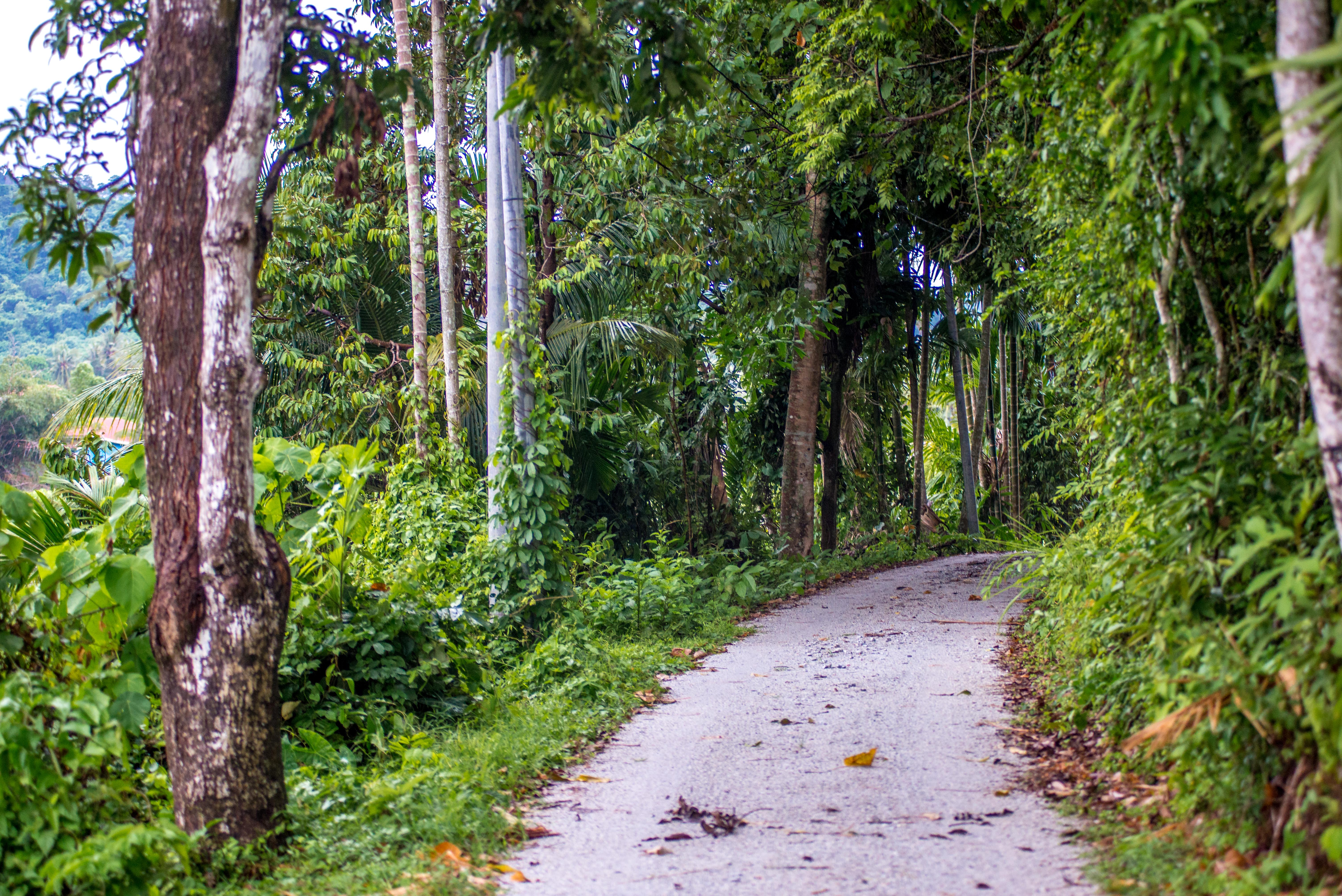 Langkawi Malaisie Malaysia Asie blogvoyage icietlabas